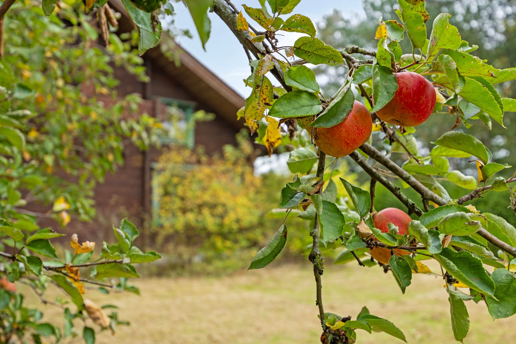 *** ONDER COMPROMIS ***  foto 6