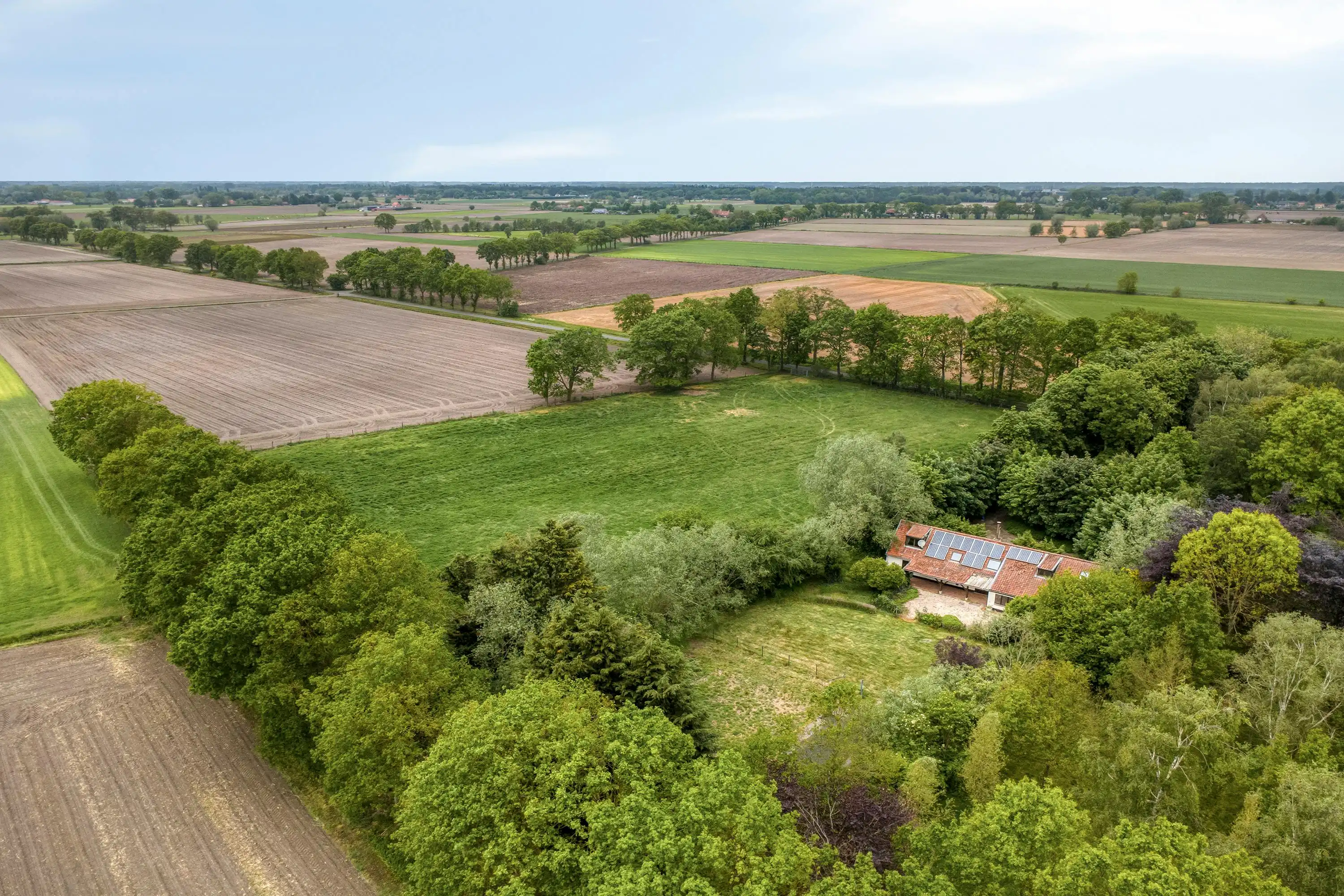 Uitzonderlijk gelegen huis (14.953m²) langs Haantjesveld te Maldegem foto 4