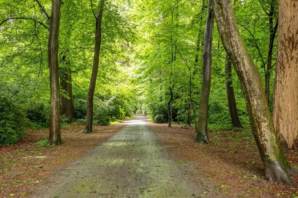 Op te frissen gezinswoning met tuin in Groenenhoek foto 23