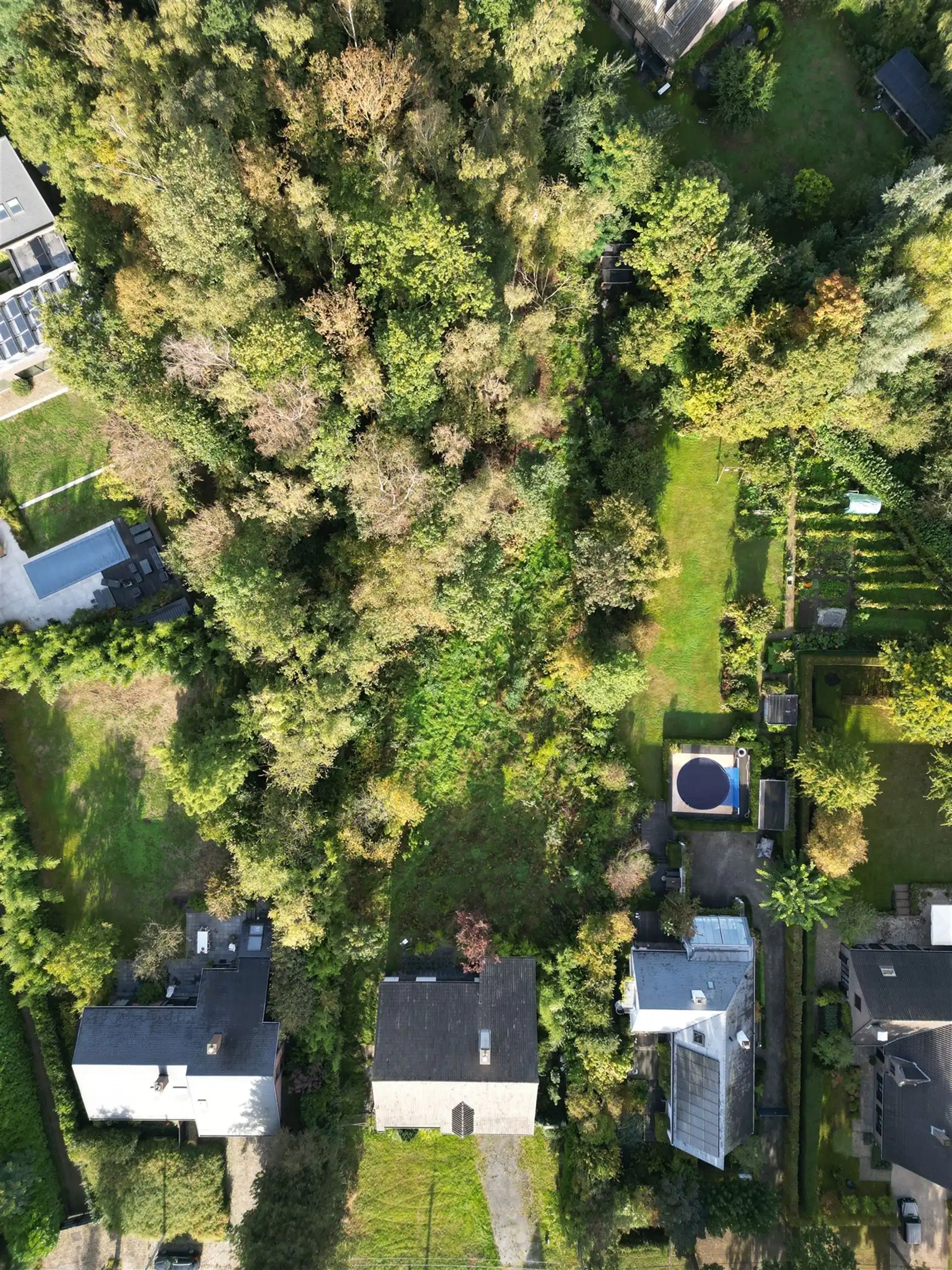 Bouwgrond met eigen bos op +4.000 m² in Eke foto 2