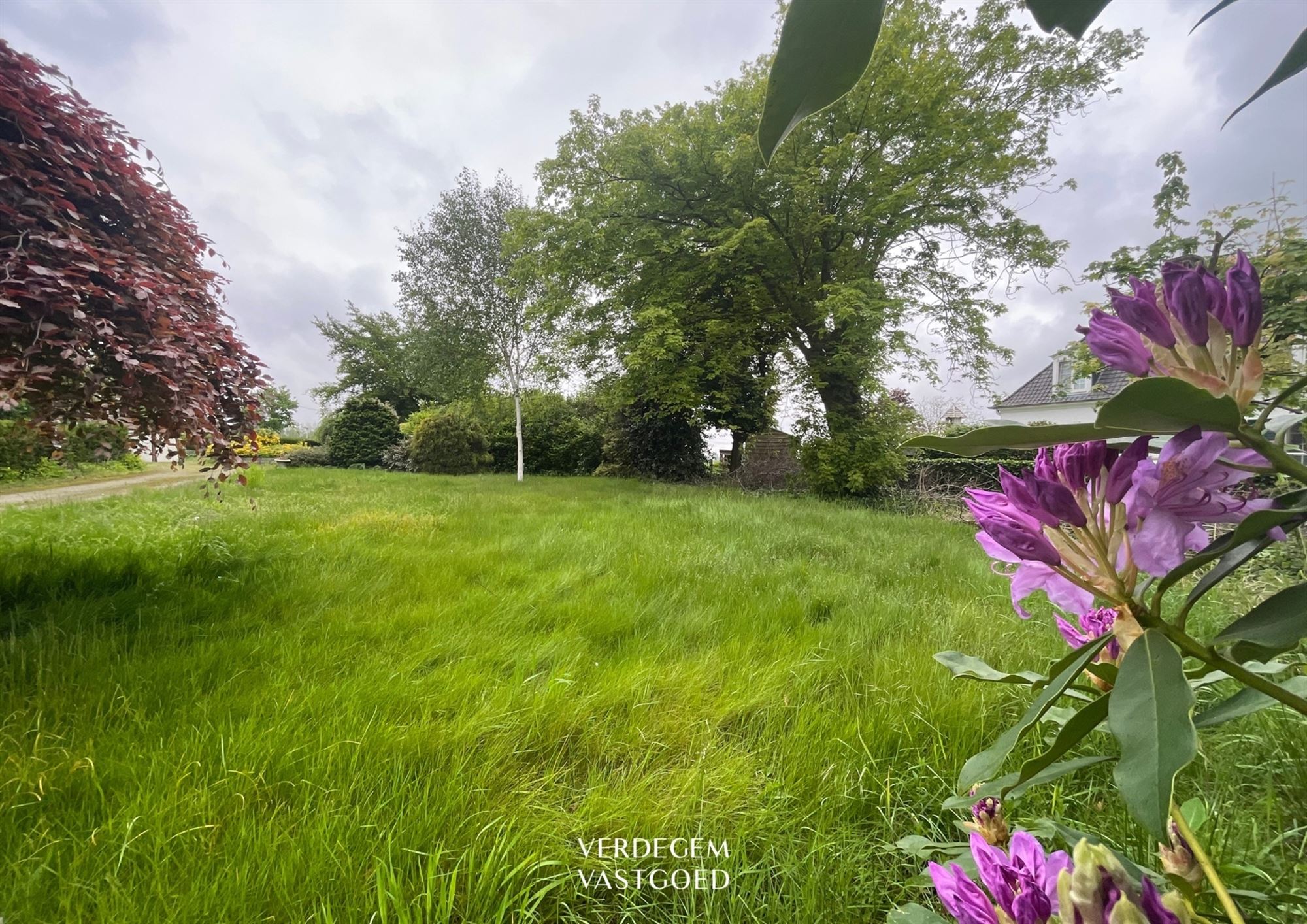 Prachtig gelegen bouwgronden van 1.104m² met achterliggende grond foto 5