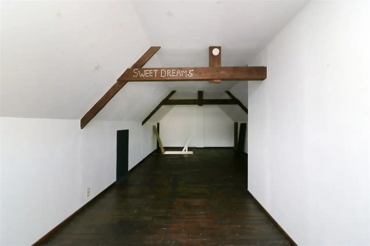 charmant, ruim, mogelijkheid beroep of kangoeroe foto 42