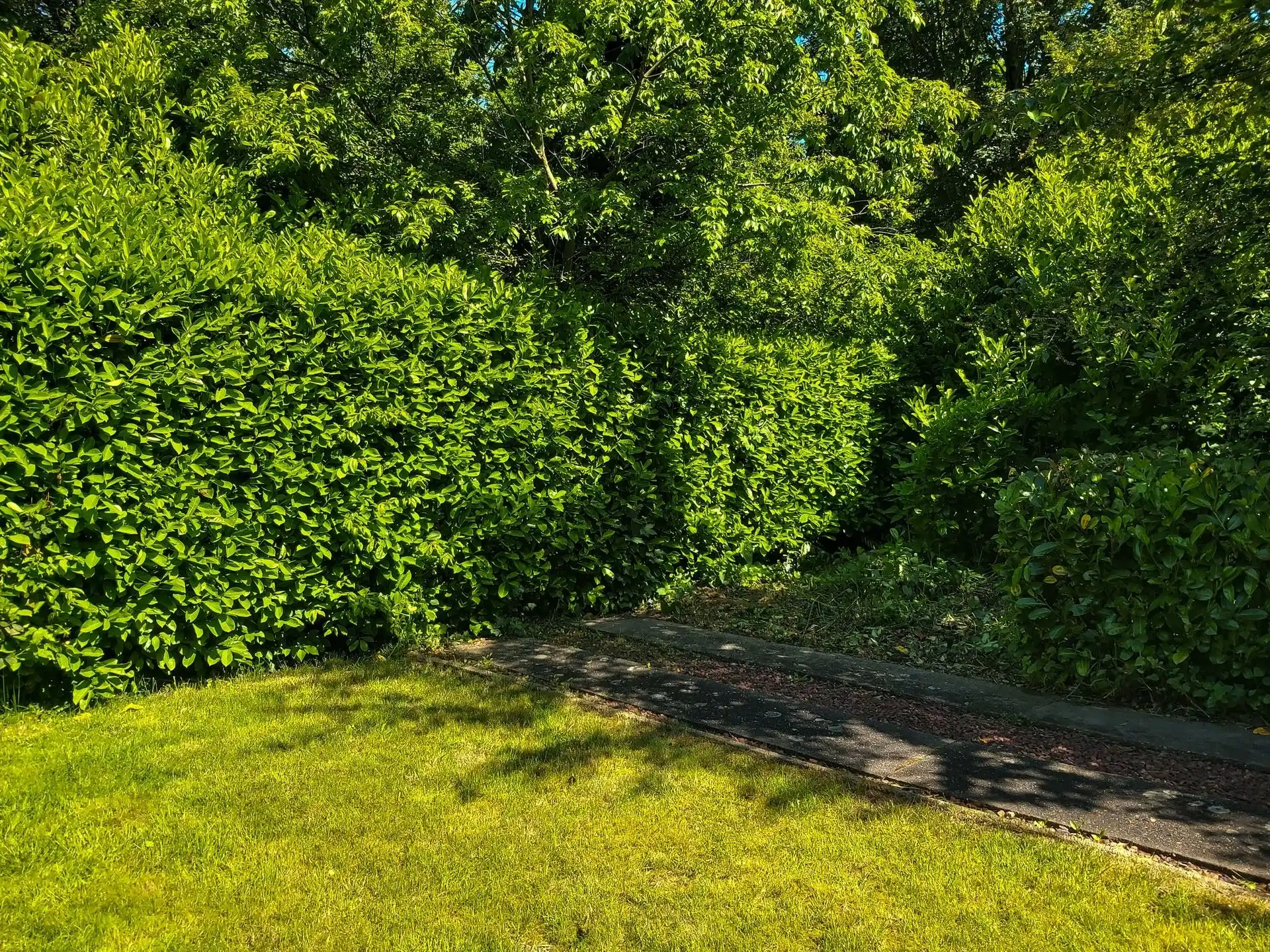 Te renoveren woning met 3 slaapkamers, garage en tuin in Maasmechelen! foto 15