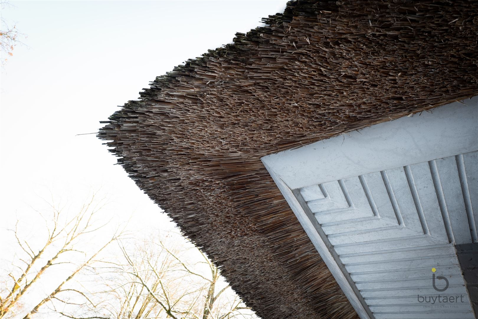 Villa met praktijk of  kangoeroewoning en Zuid - West tuin. foto 3