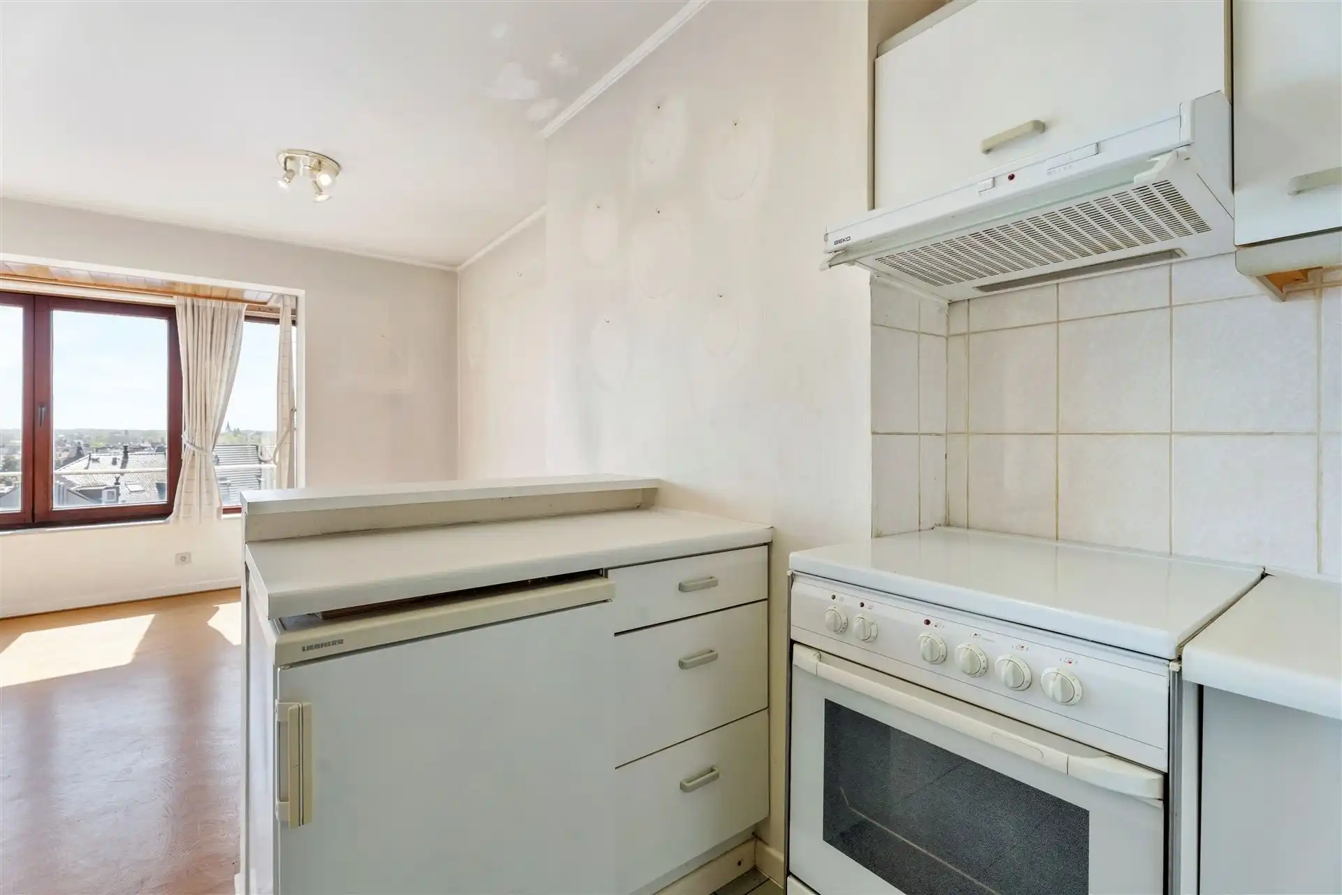 ZONNIG / GROOT TERRAS  foto 10