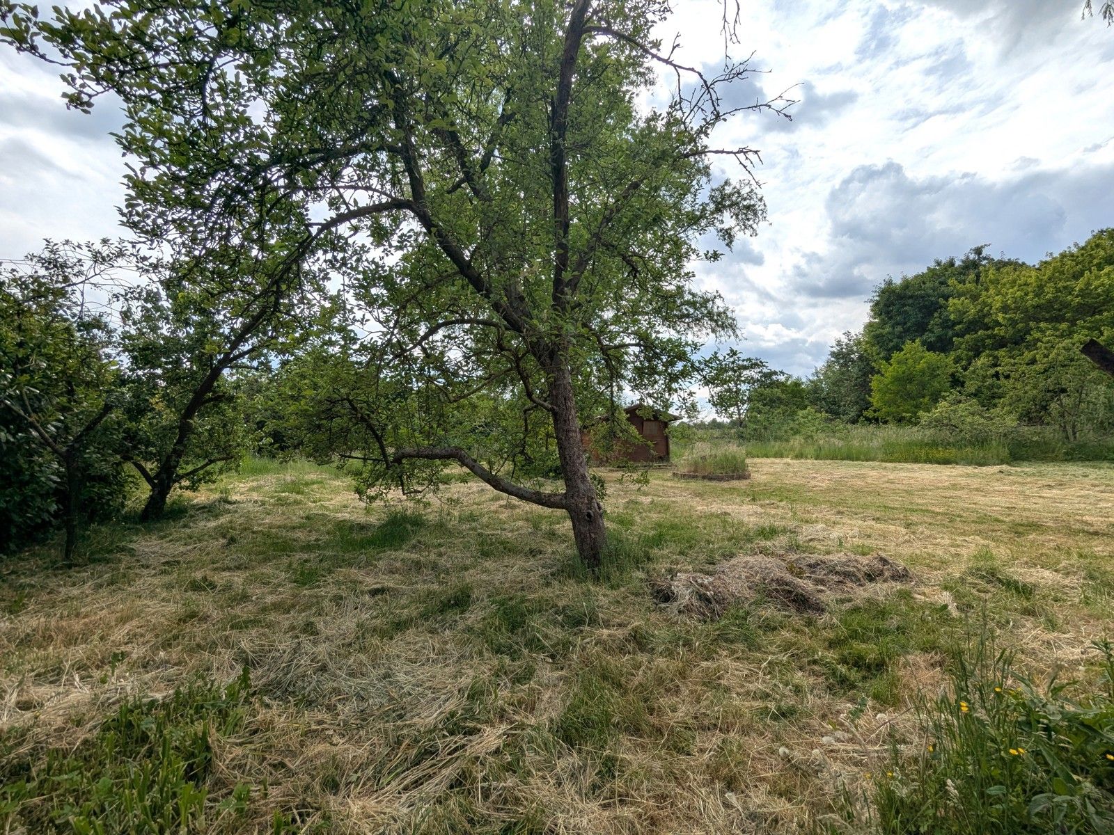Karaktervolle jaren 70 villa op zuid-gericht perceel 1994m²  foto 2