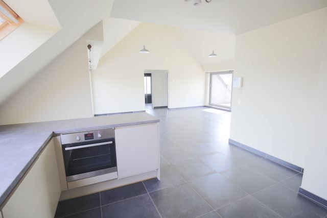 Dakappartement, twee terrassen foto 2