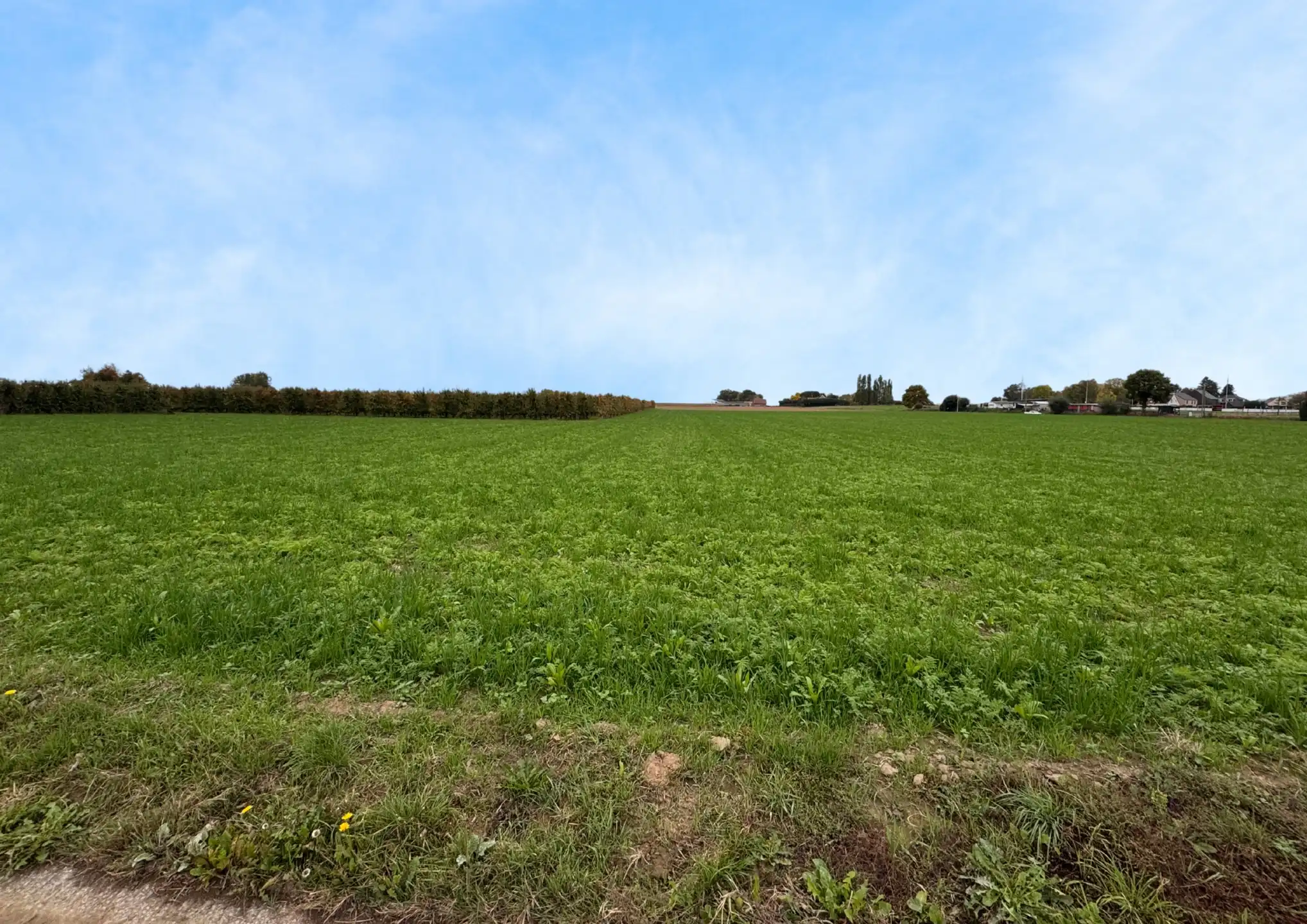 Bouwgrond van 10a 31ca voor open bebouwing foto 6