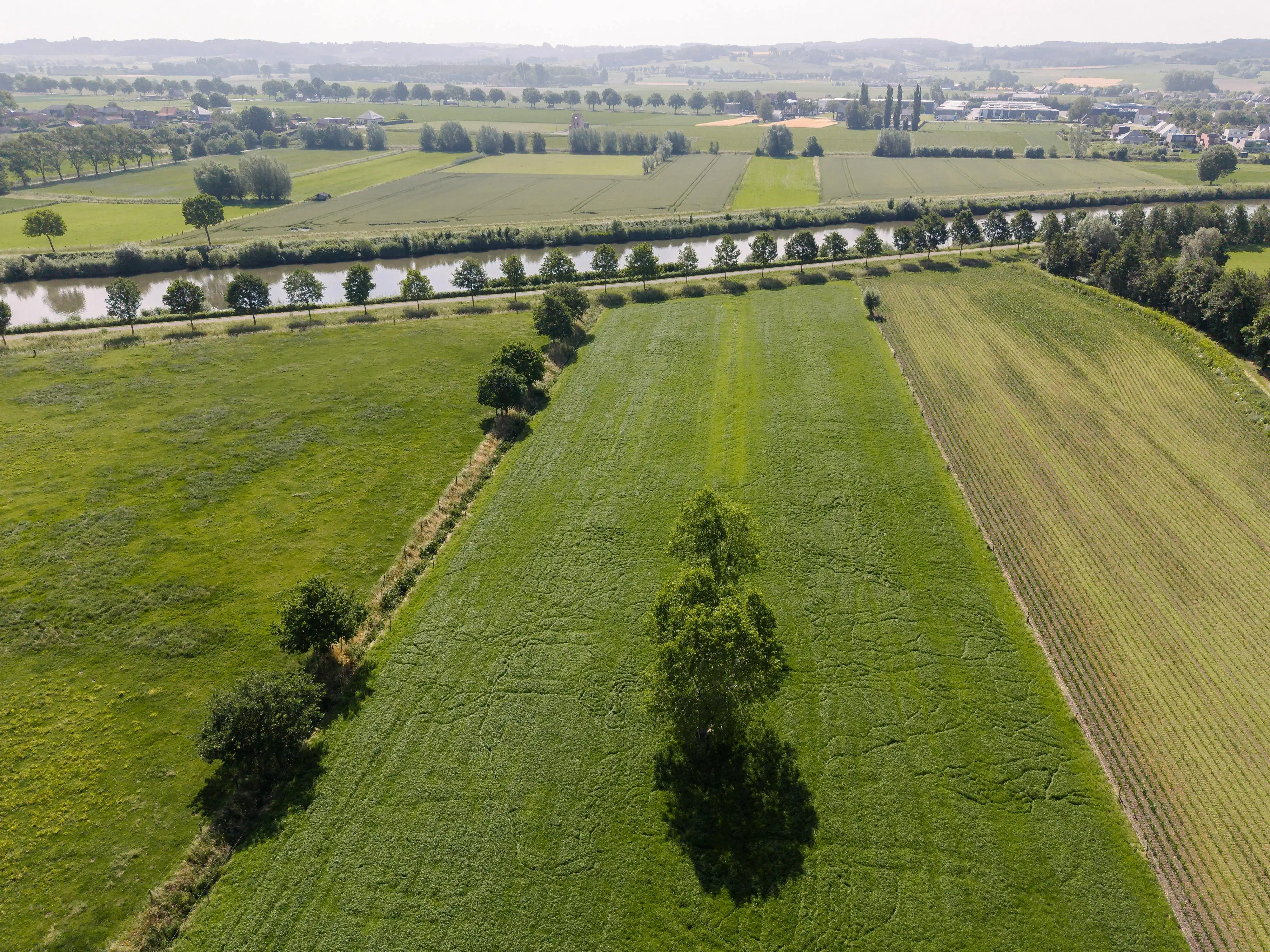 Hoeve op uitstekende locatie te koop in Kerkhove (Avelgem) foto 14