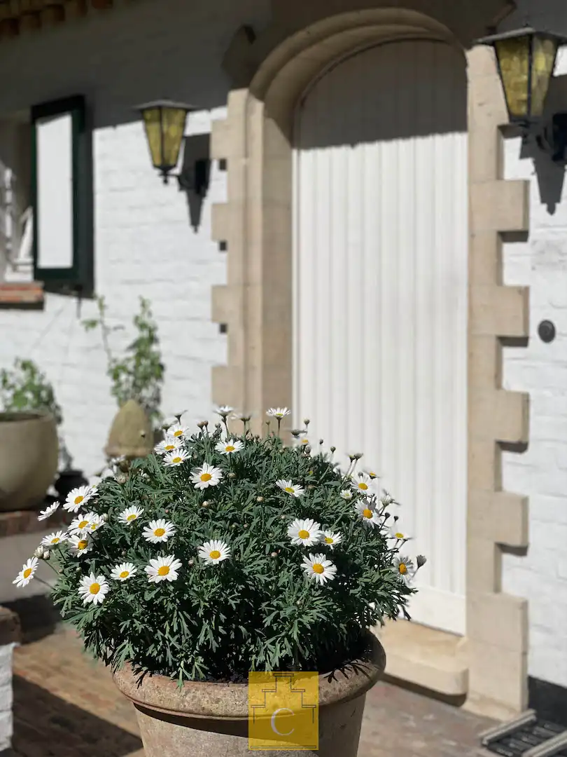 ‘La Cassine’, karaktervilla in Knokse stijl op 2025 m2 in Tillegembos foto 2