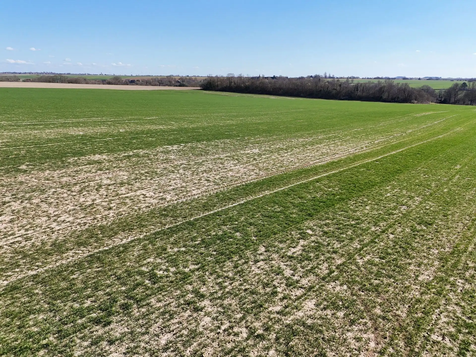 Groot perceel landbouwgrond - BLOK A foto 4