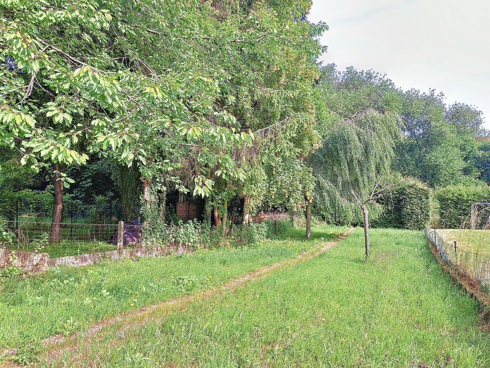 Huis te huur foto 15