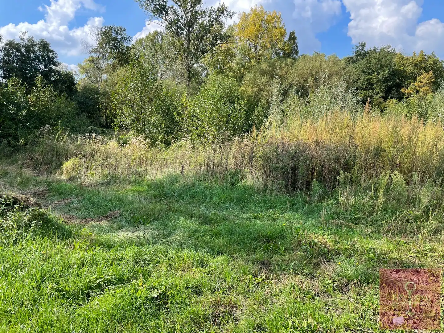 3 percelen, rustig gelegen, landbouwgrond te koop nabij natuurgebied - Houthalen-Helchteren foto 4