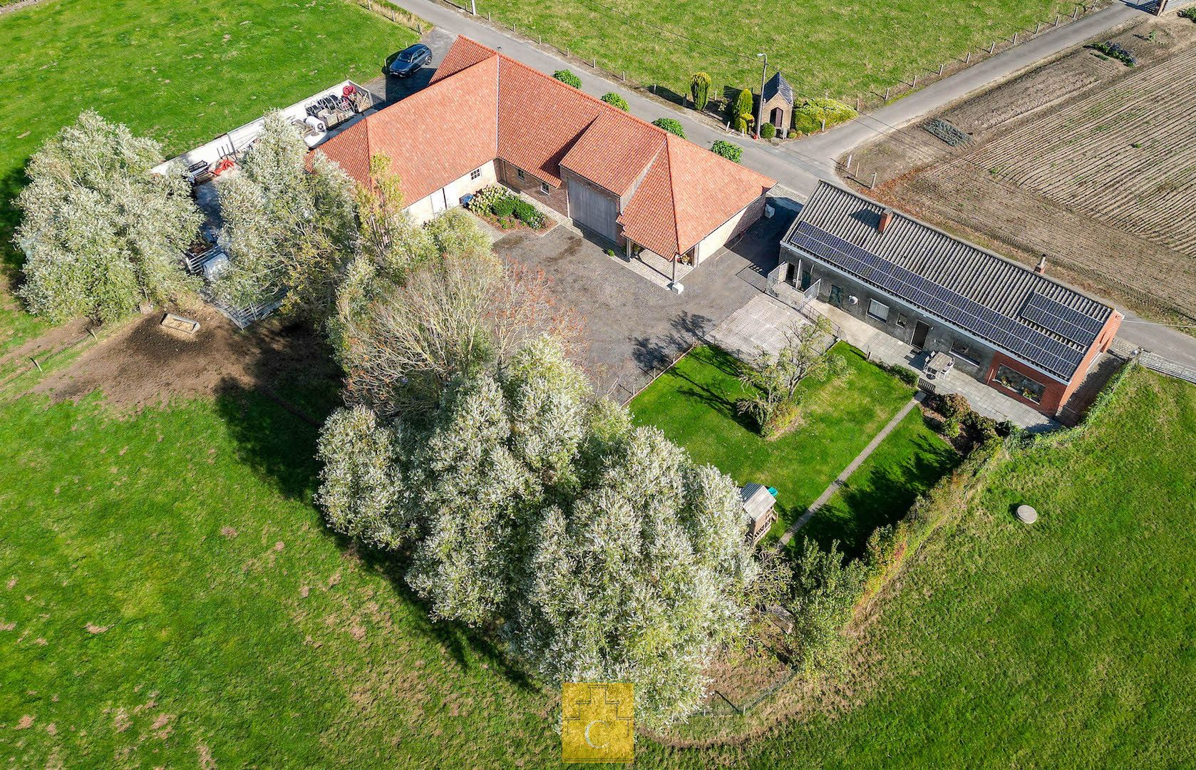 Boerderij met nieuwbouwloods (+400M2) en woning op 11.776 m² foto 2