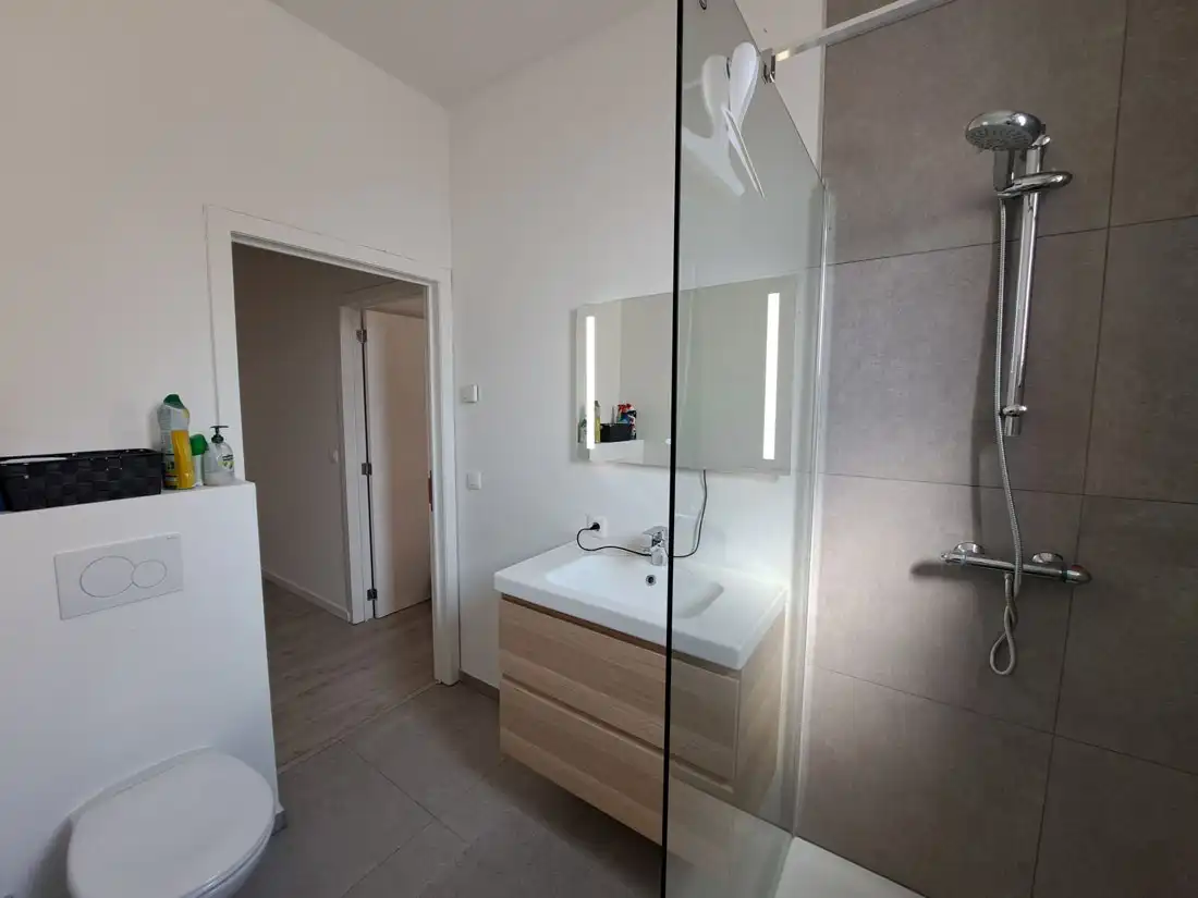 Gunstig gelegen appartement vlakbij het centrum van Hasselt foto 10