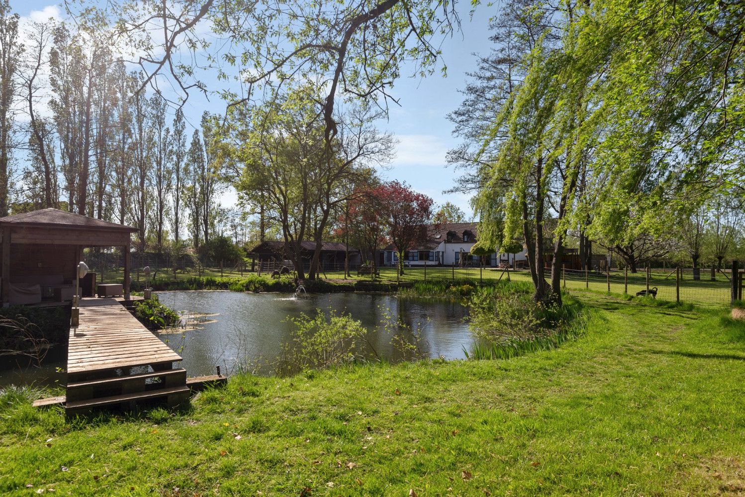 CHARMANTE HOEVE OP PERCEEL VAN 5.808 m²! foto 21