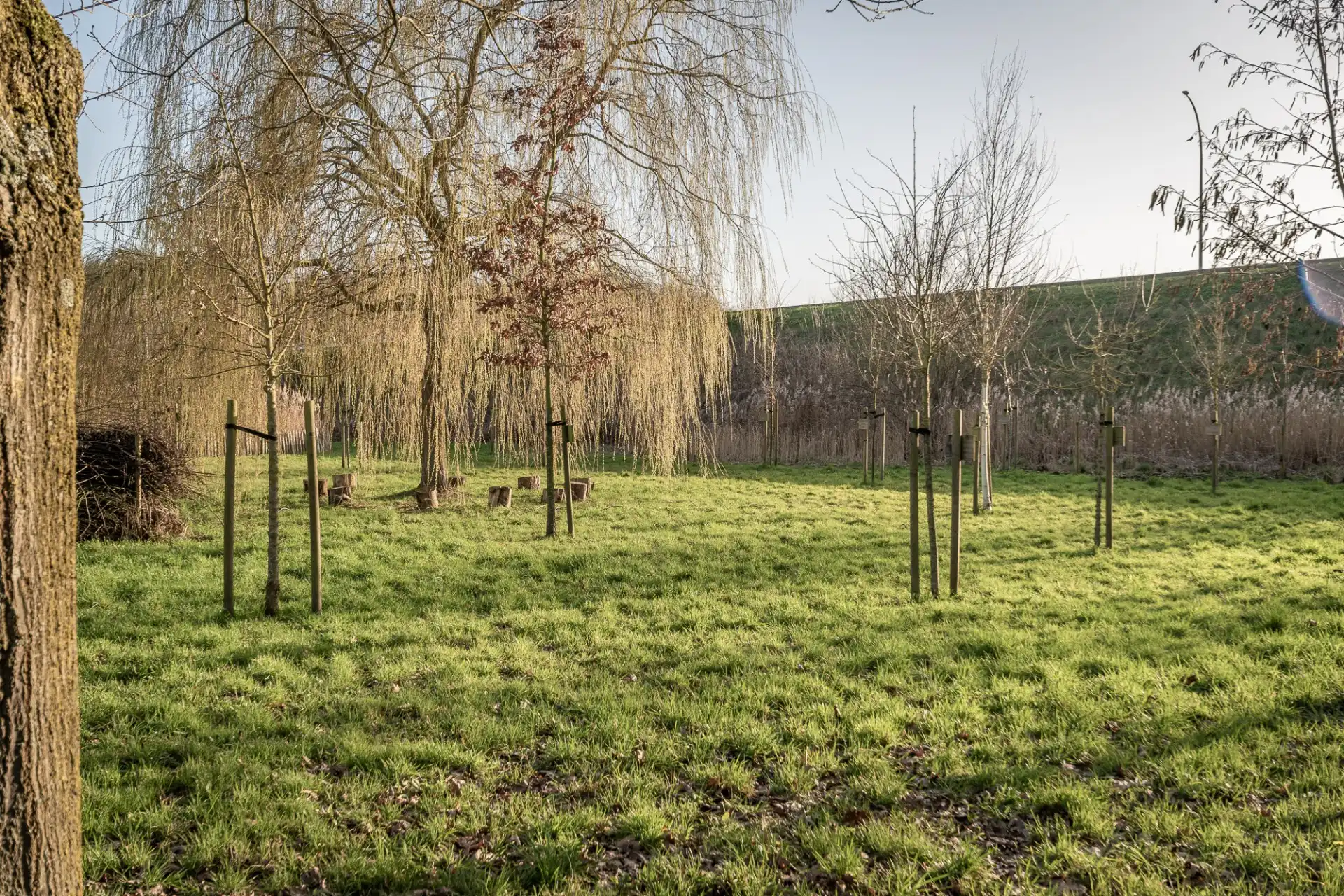 Starterswoning met 3 slaapkamers foto 6