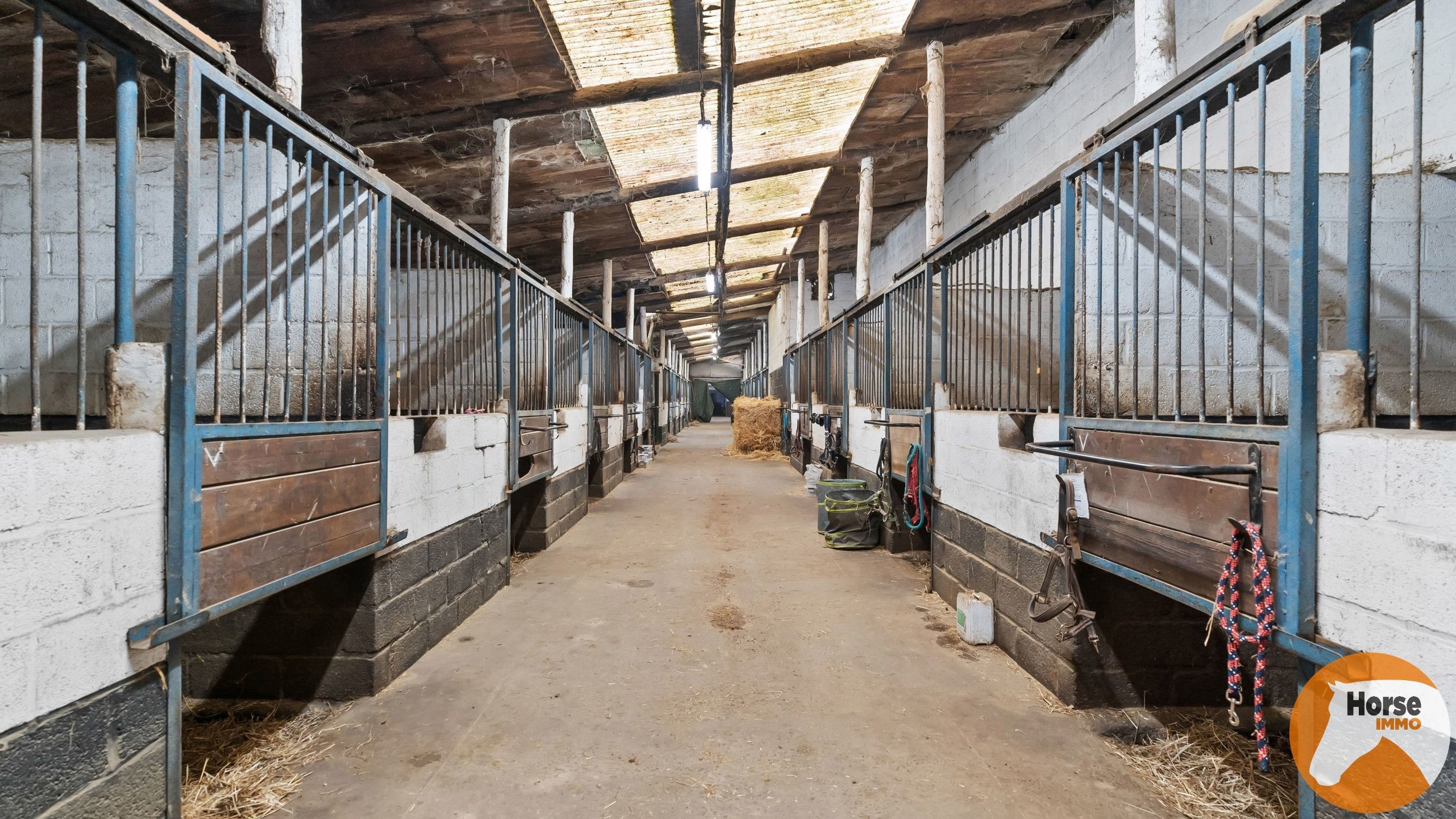 HASSELT (Kortessem) - Manege met veel potentieel! foto 8