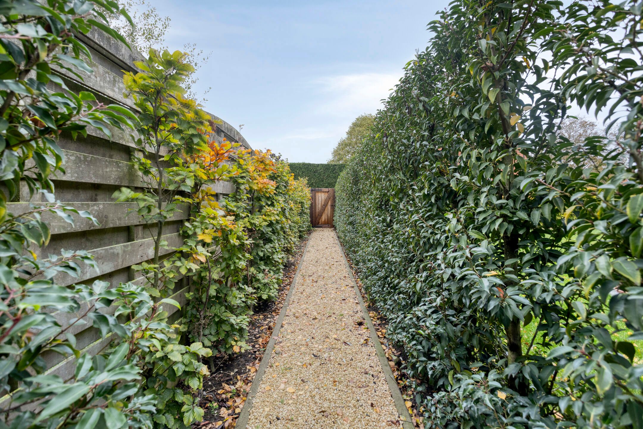 Laatste woning beschikbaar! Nieuwbouwwoning gelegen in het centrum van Minderhout! foto 47