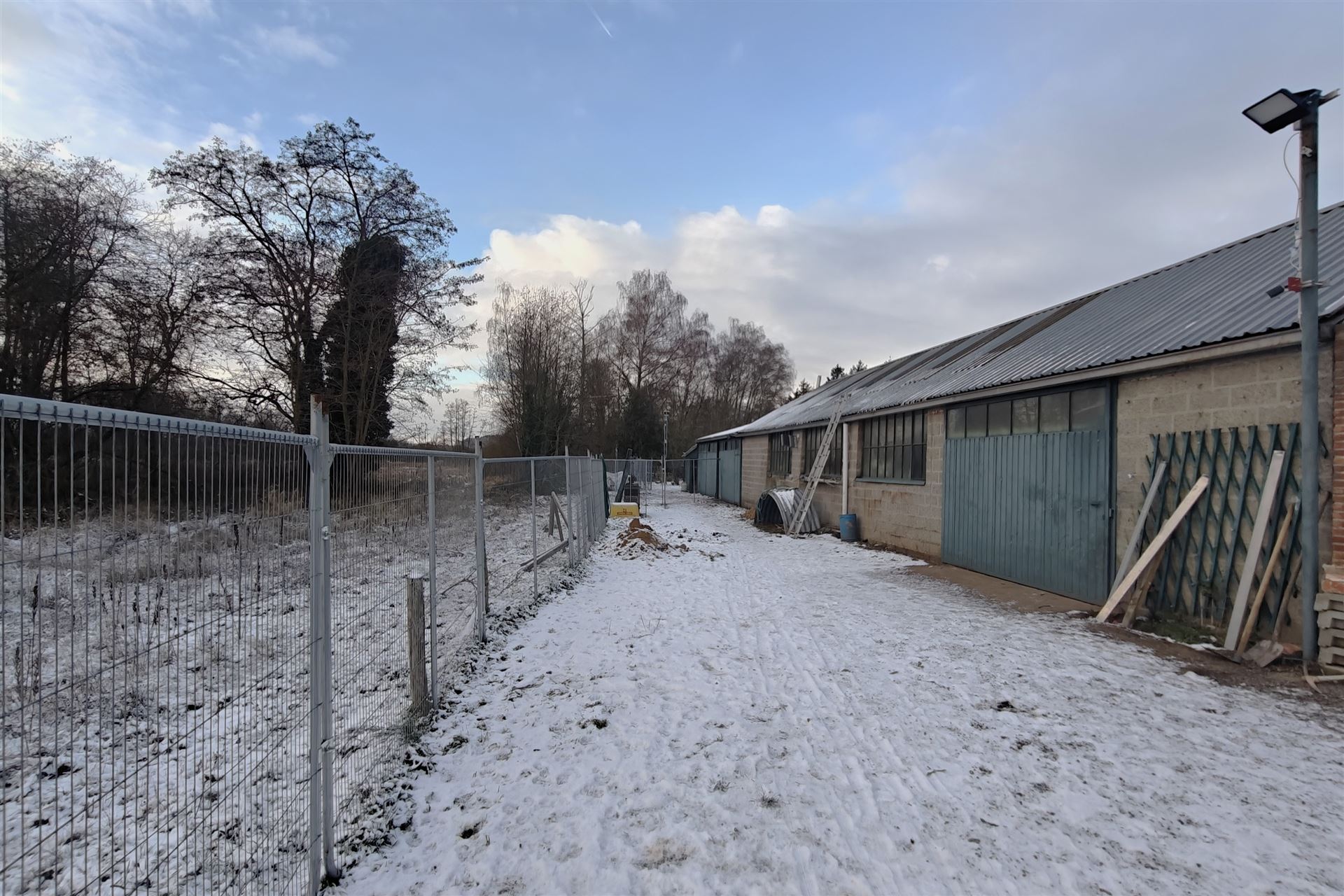 Unieke deels gerenoveerde woning met loods (205m²) en privaat bos op 24a80ca in het rustige Zelem (Halen) foto 6