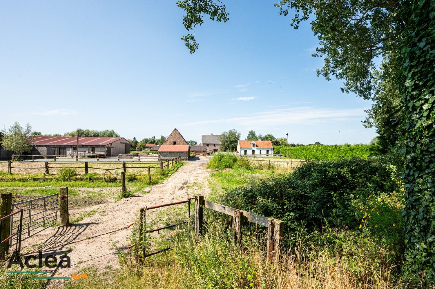 Unieke karaktervolle hoeve met manege op 12.121m² foto 14