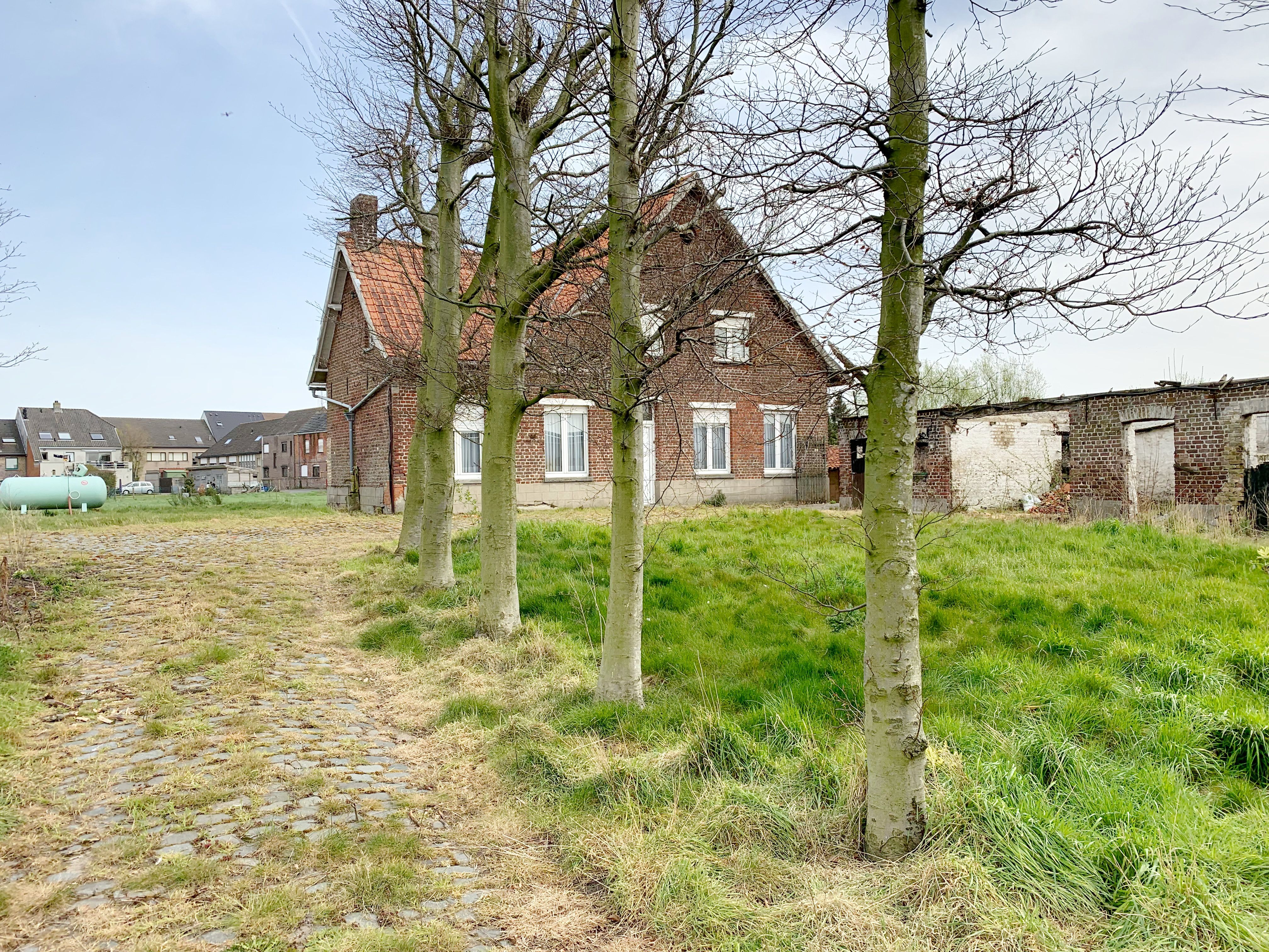 Idylissch gelegen hoeve met diverse bijgebouwen op 3ha foto 4