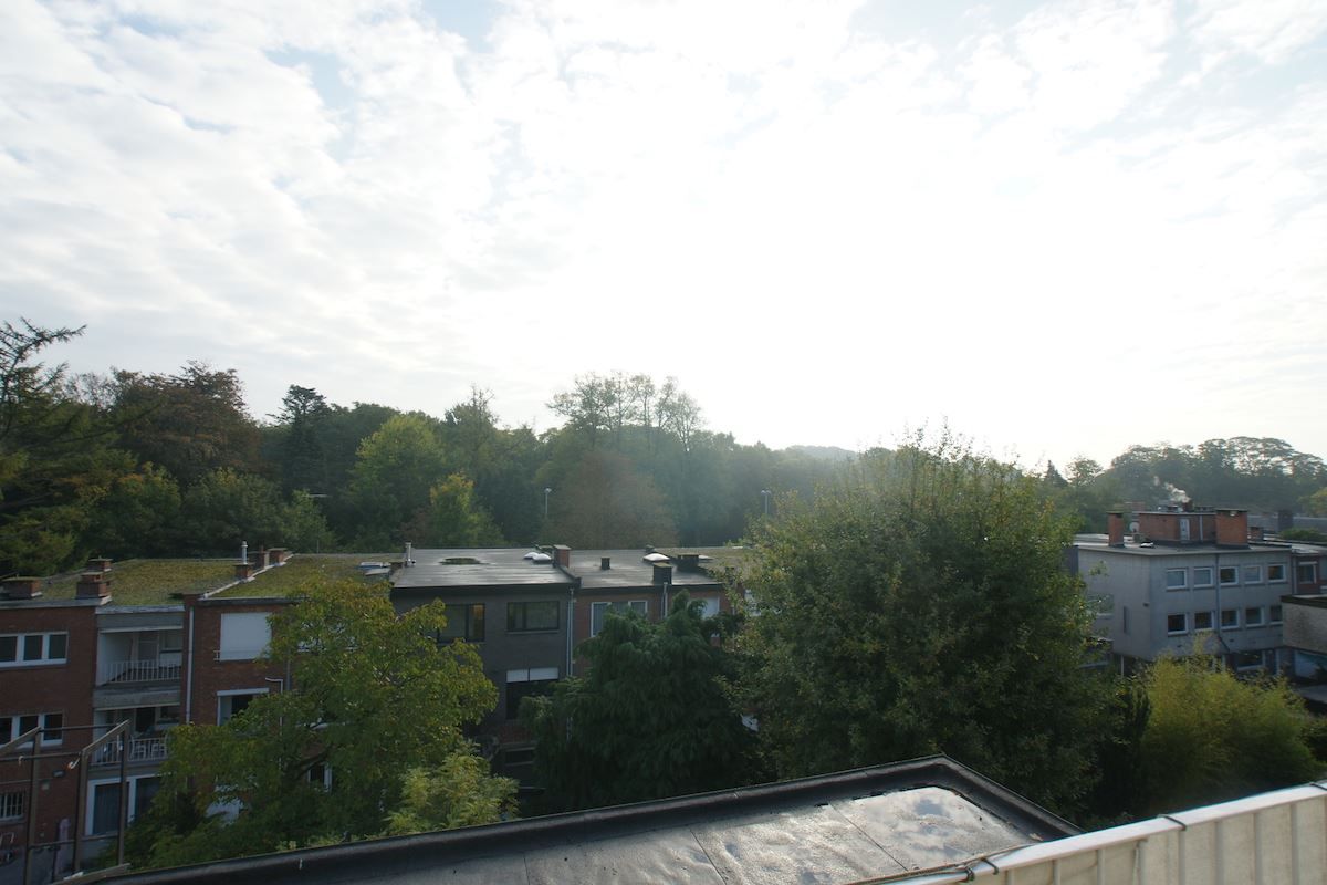 Ruim dakappartement met terras foto 2