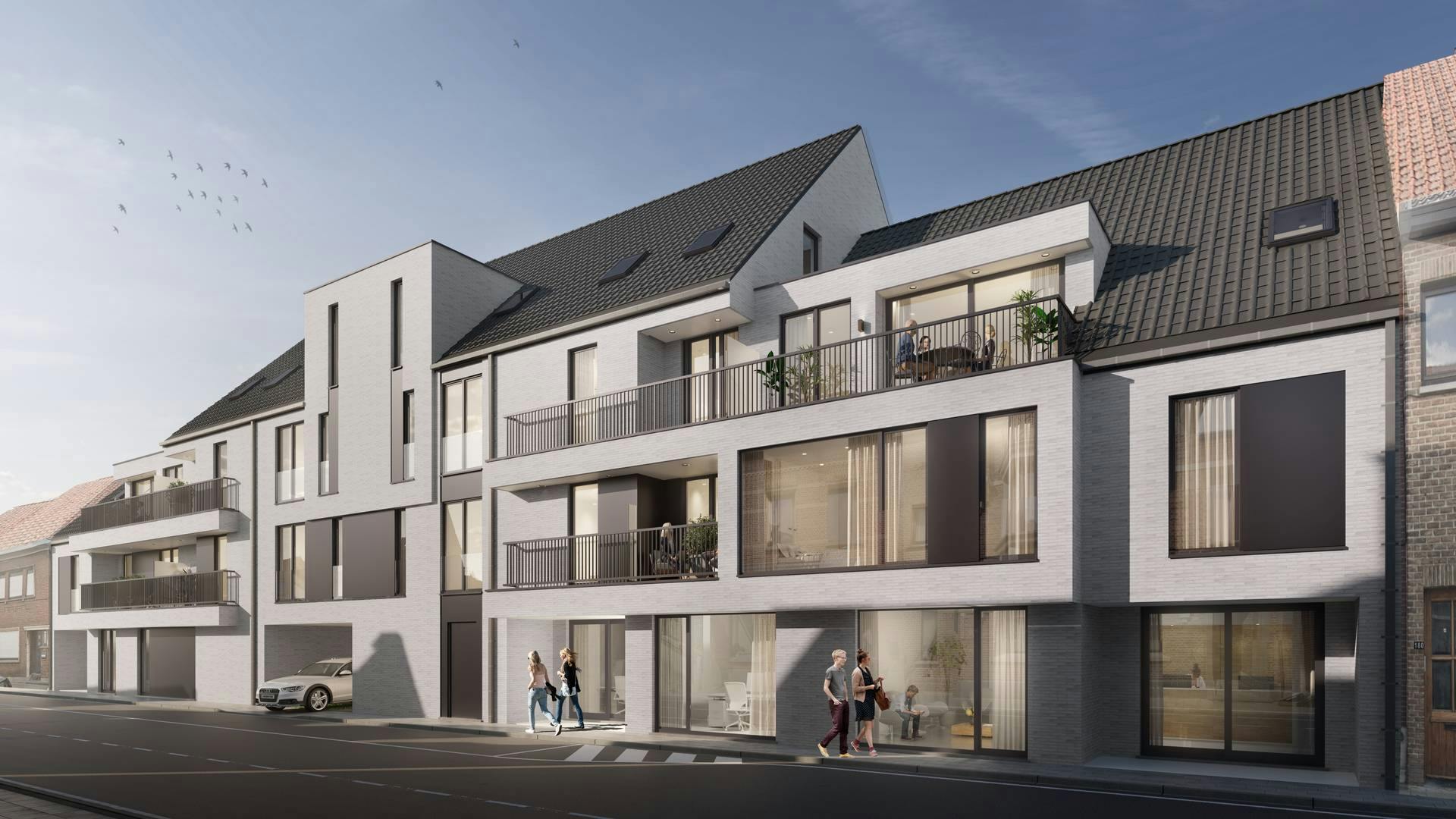 Albert & Jerome te koop in Desselgem foto 2