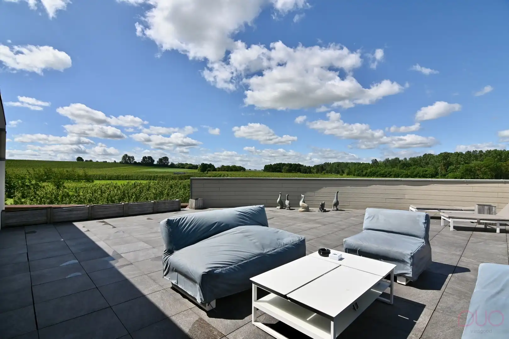 Handelspand op commerciële locatie met  luxueuze penthouse tussen de boomgaarden foto 25