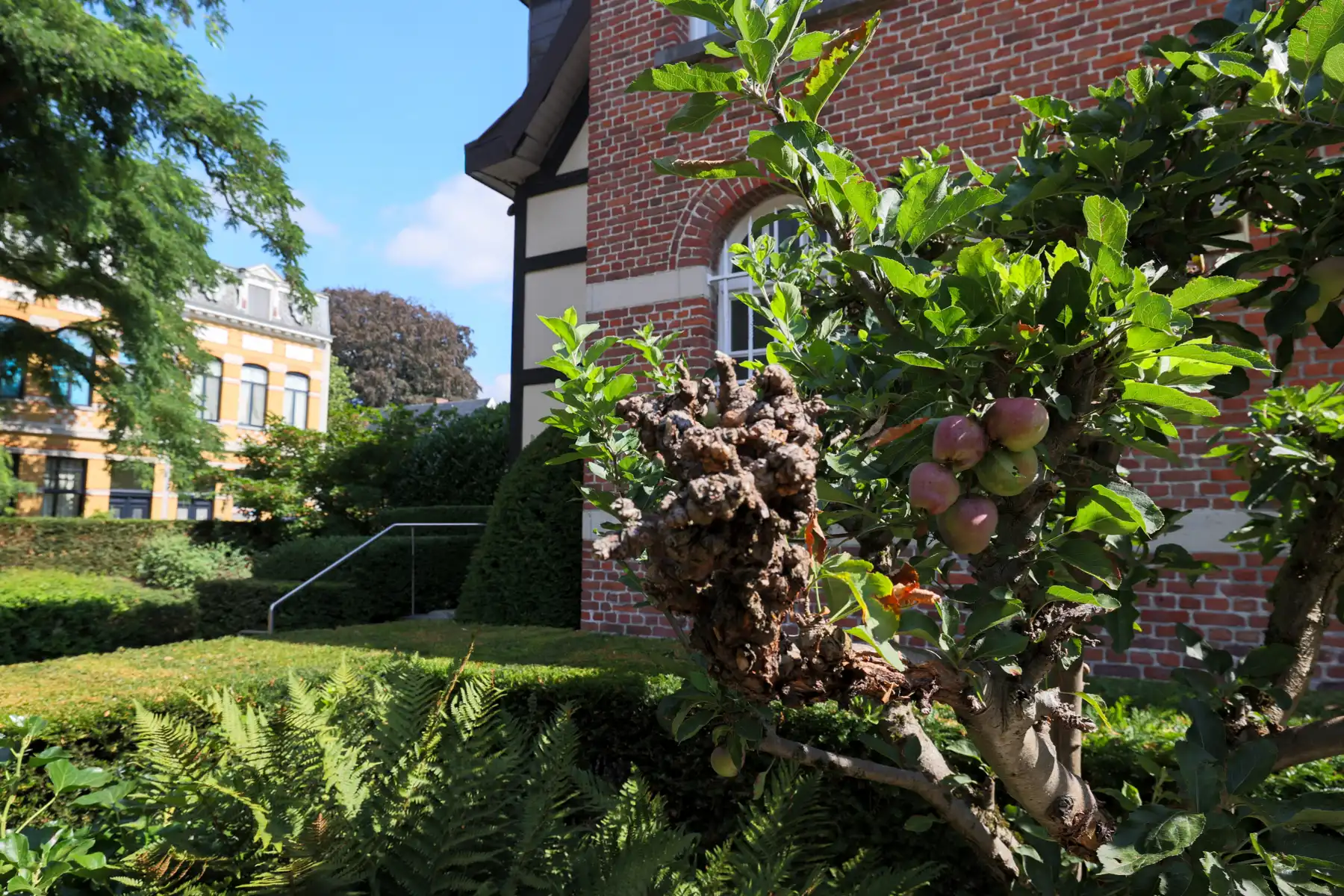 Cottage vibes & een tuin vol dromen foto 14