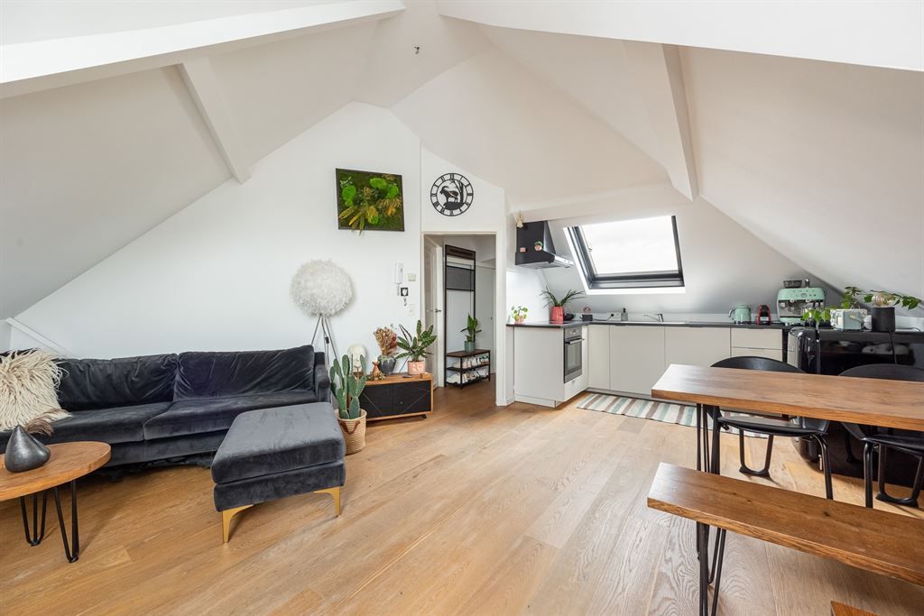 Hoofdfoto van de publicatie: Licht hoekappartement in hartje Zurenborg