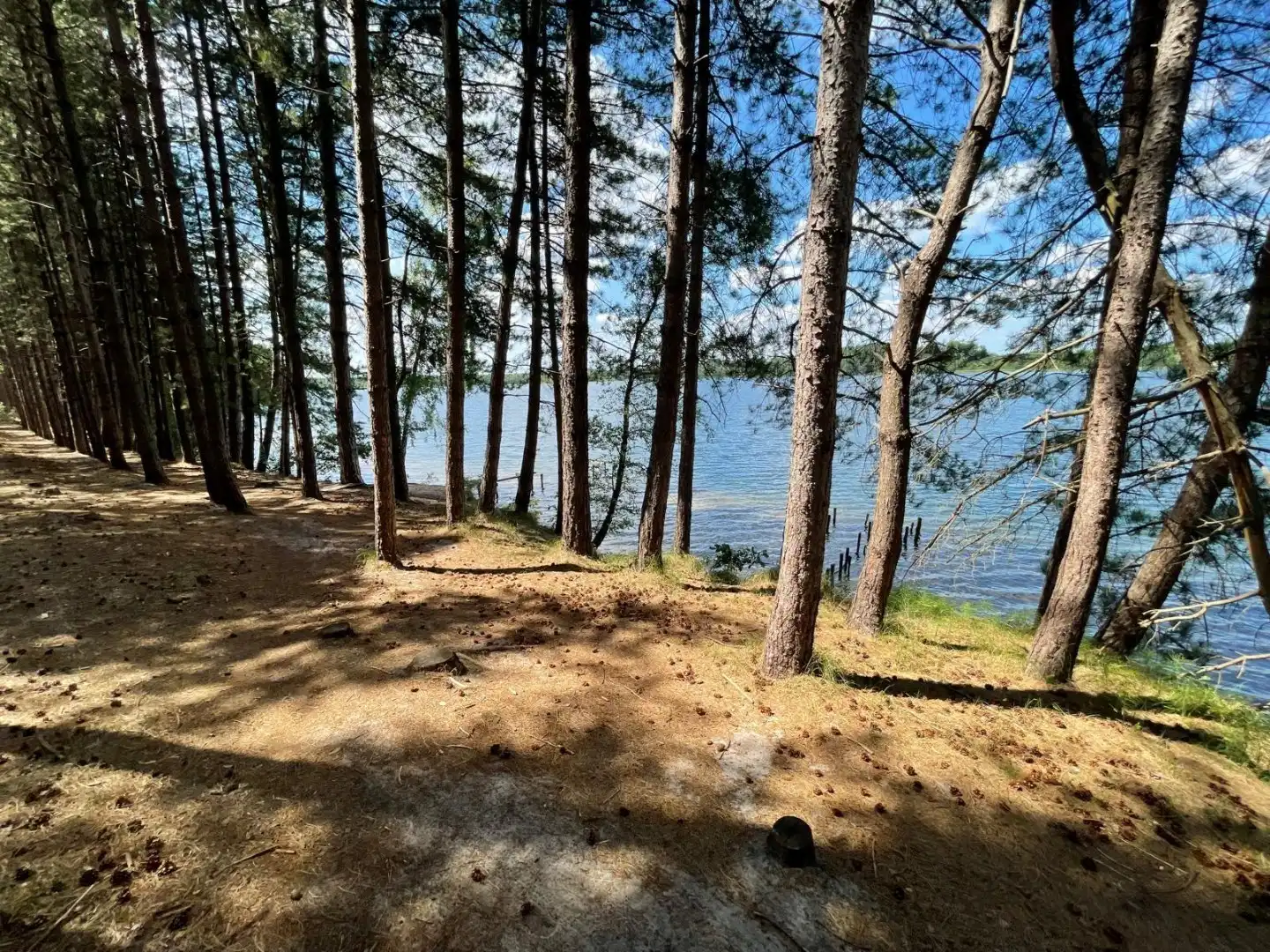 Dubbele woonst op 3000m²  met uitzicht op natuur en water foto 3