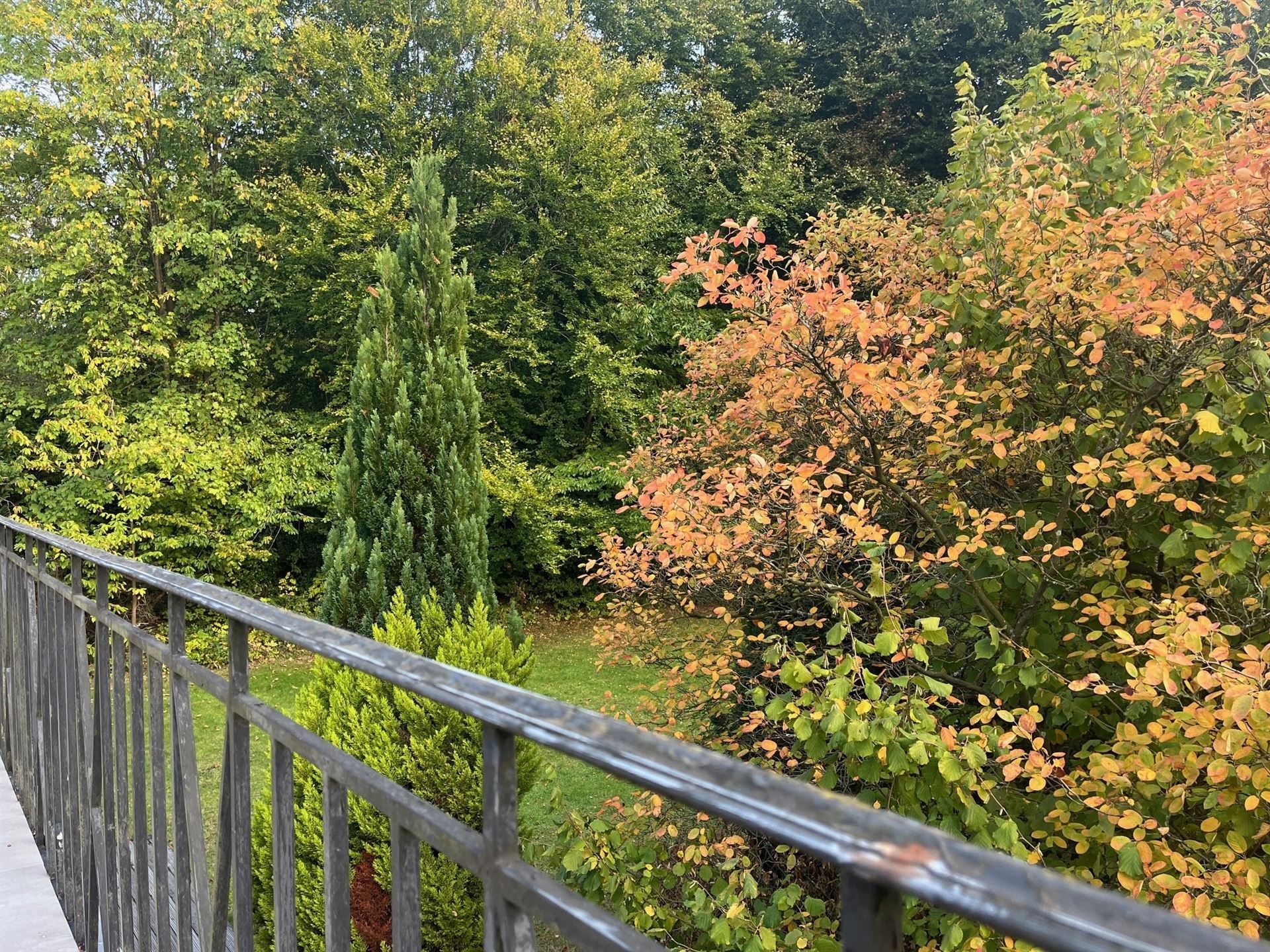 Uitzonderlijk appartement met terras foto 9