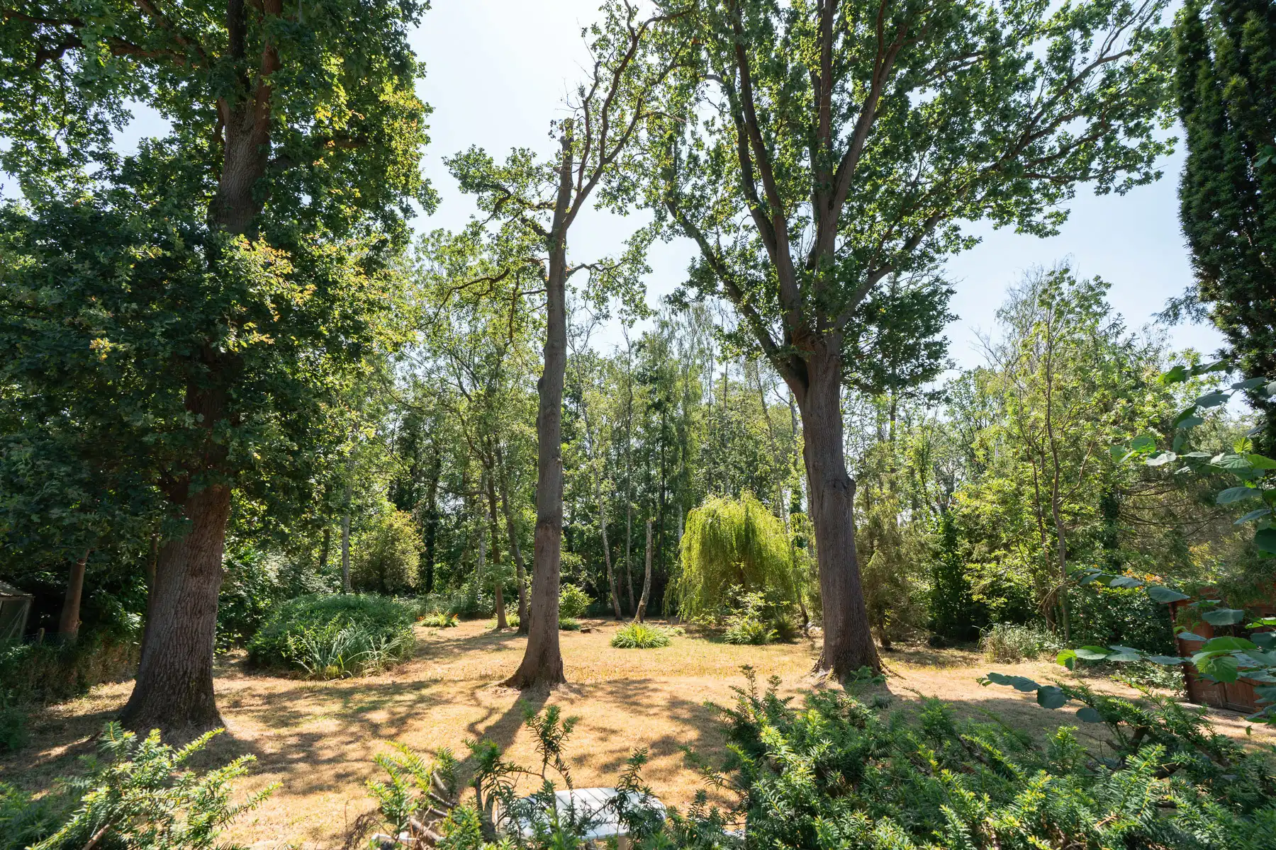 Charmante en ruime villa op een toplocatie in het groen foto 32