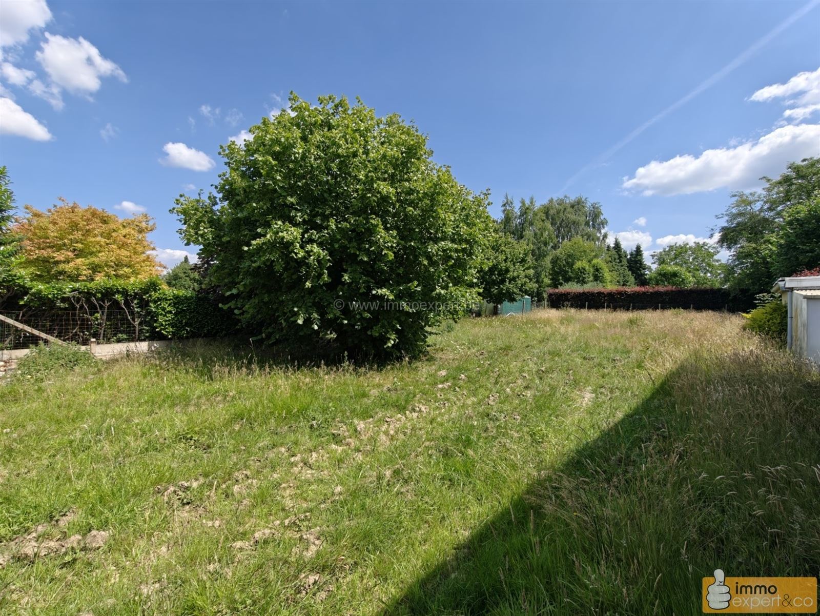 BORCHTLOMBEEK: Te renoveren woning op mooi perceel foto 10