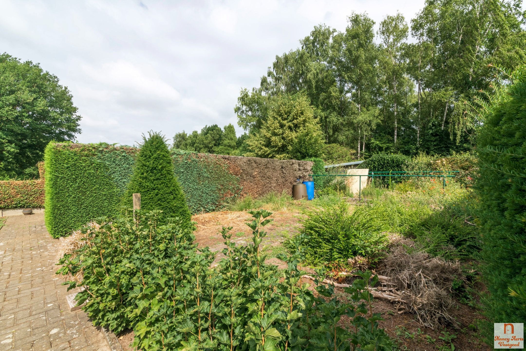 Verzorgde gelijkvloerse woning met zicht op groen in Koersel foto 38