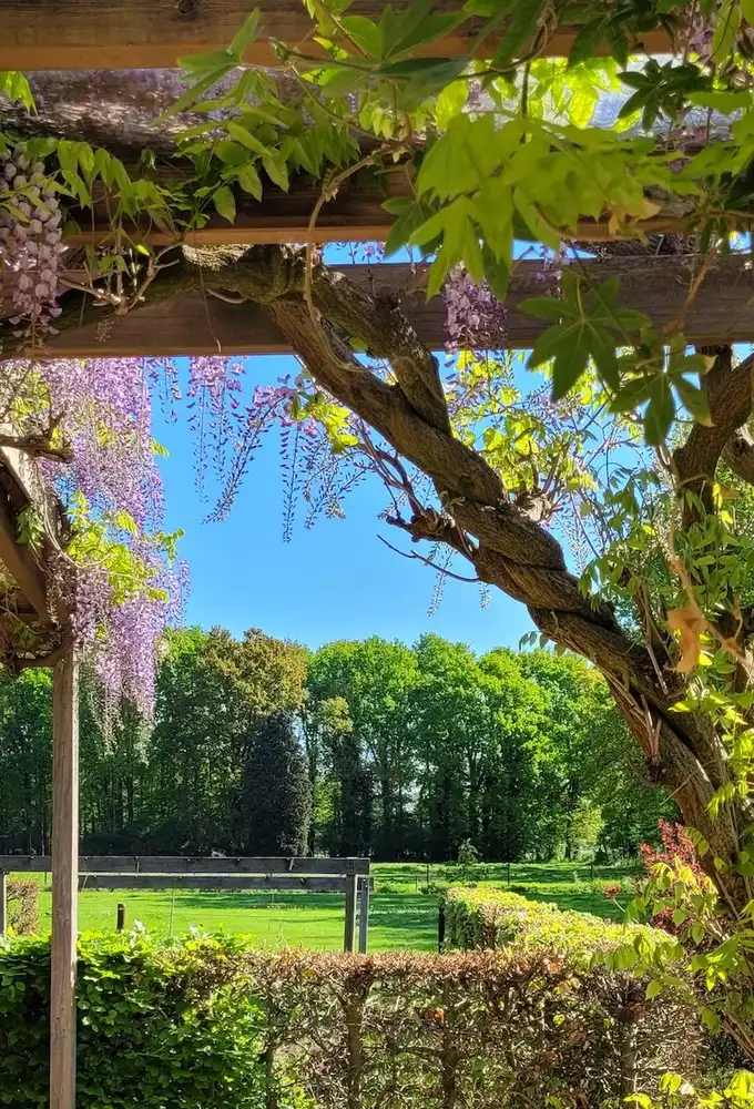 Instapklare open bebouwing foto 35