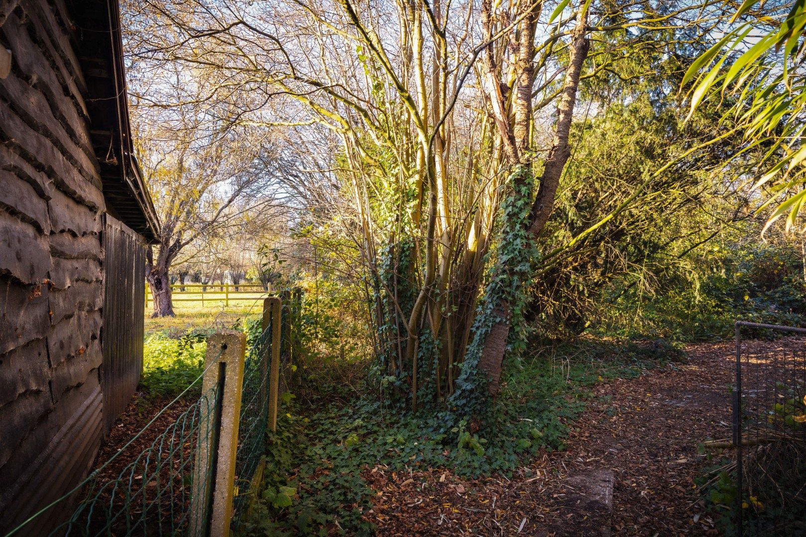 Grondig te renoveren / herop te bouwen woning te Maldegem foto 9