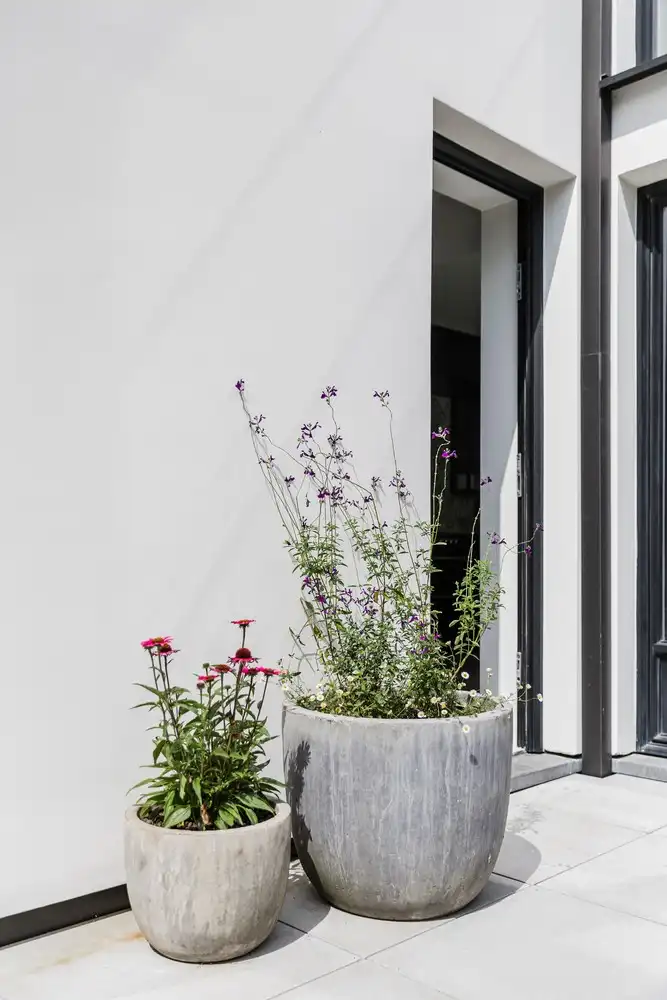 Buitengewoon royaal herenhuis centrum Gent met verwarmd buitenzwembad. foto 35