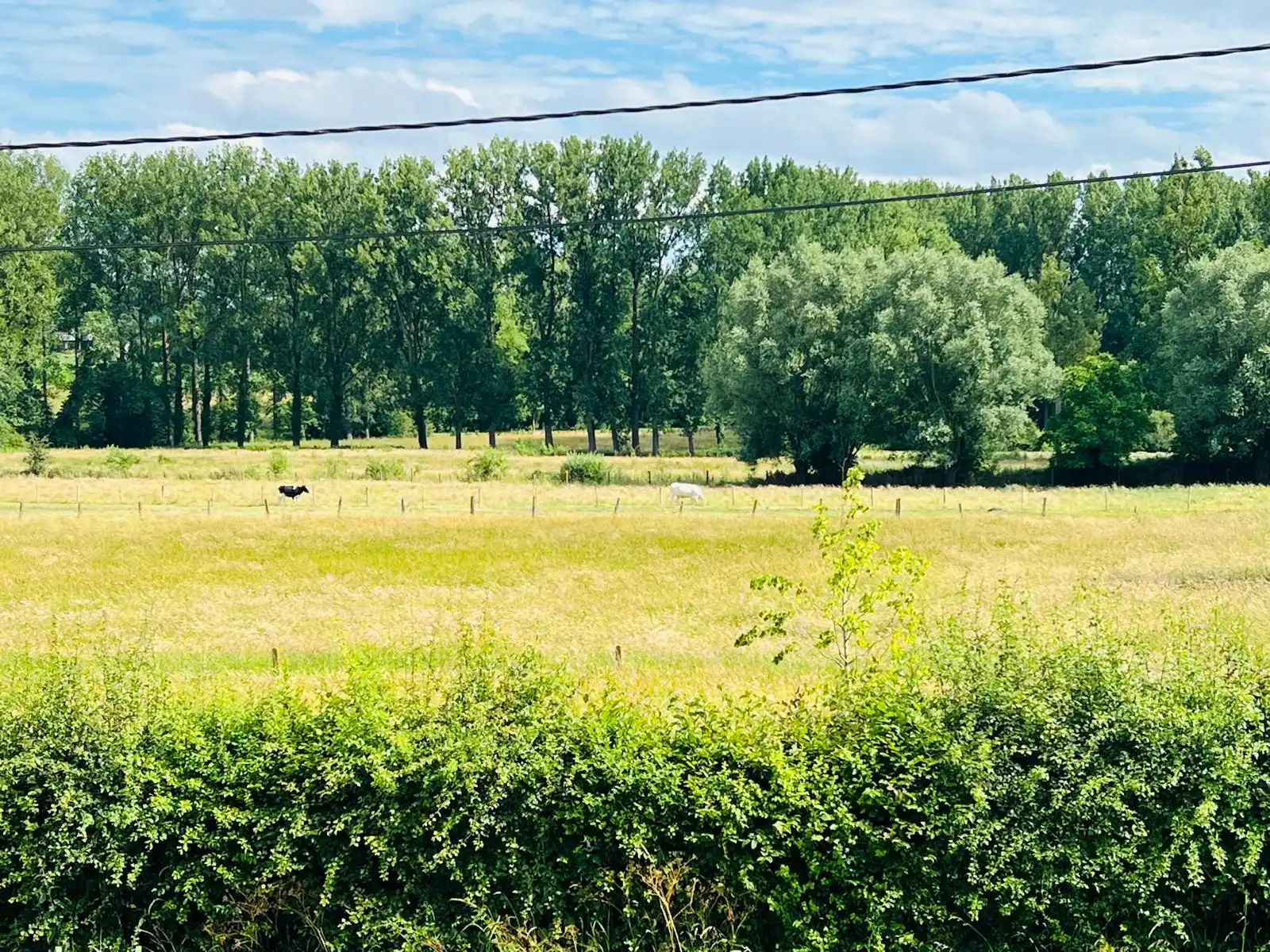 Karaktervolle gezinswoning met tal van mogelijkheden in het landelijke Rozebeke met uitzicht op de velden. foto 7