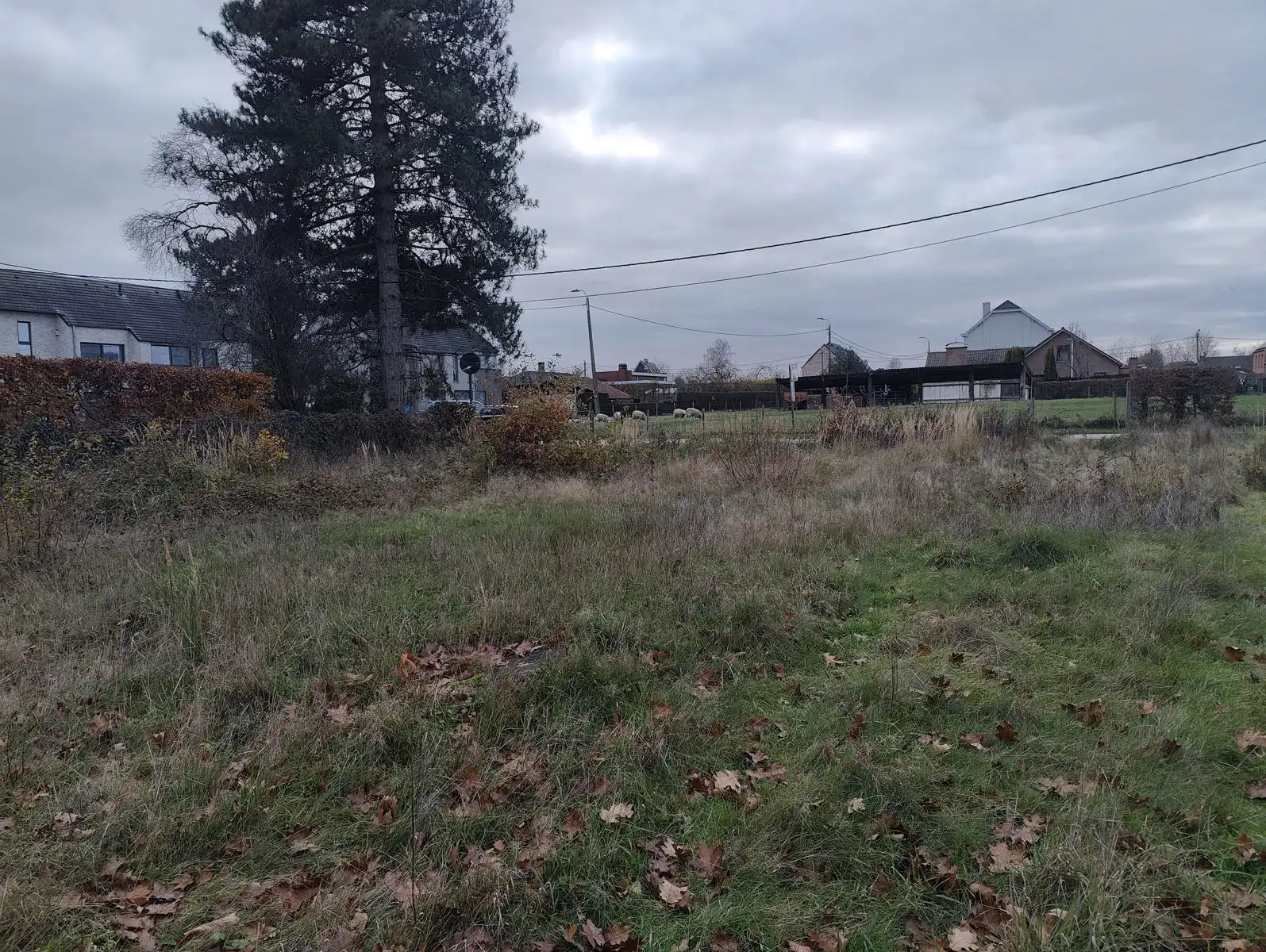 Zeer interessante bouwgrond op toplocatie foto 4