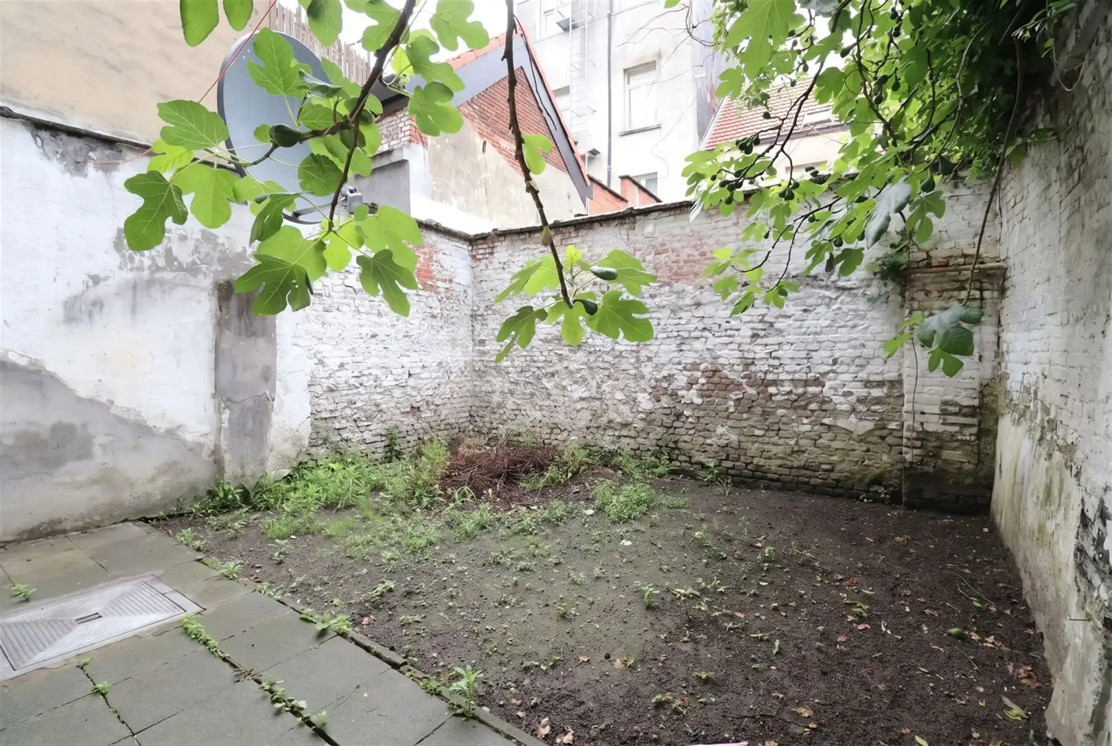 Charmante studio met stadstuin foto 6
