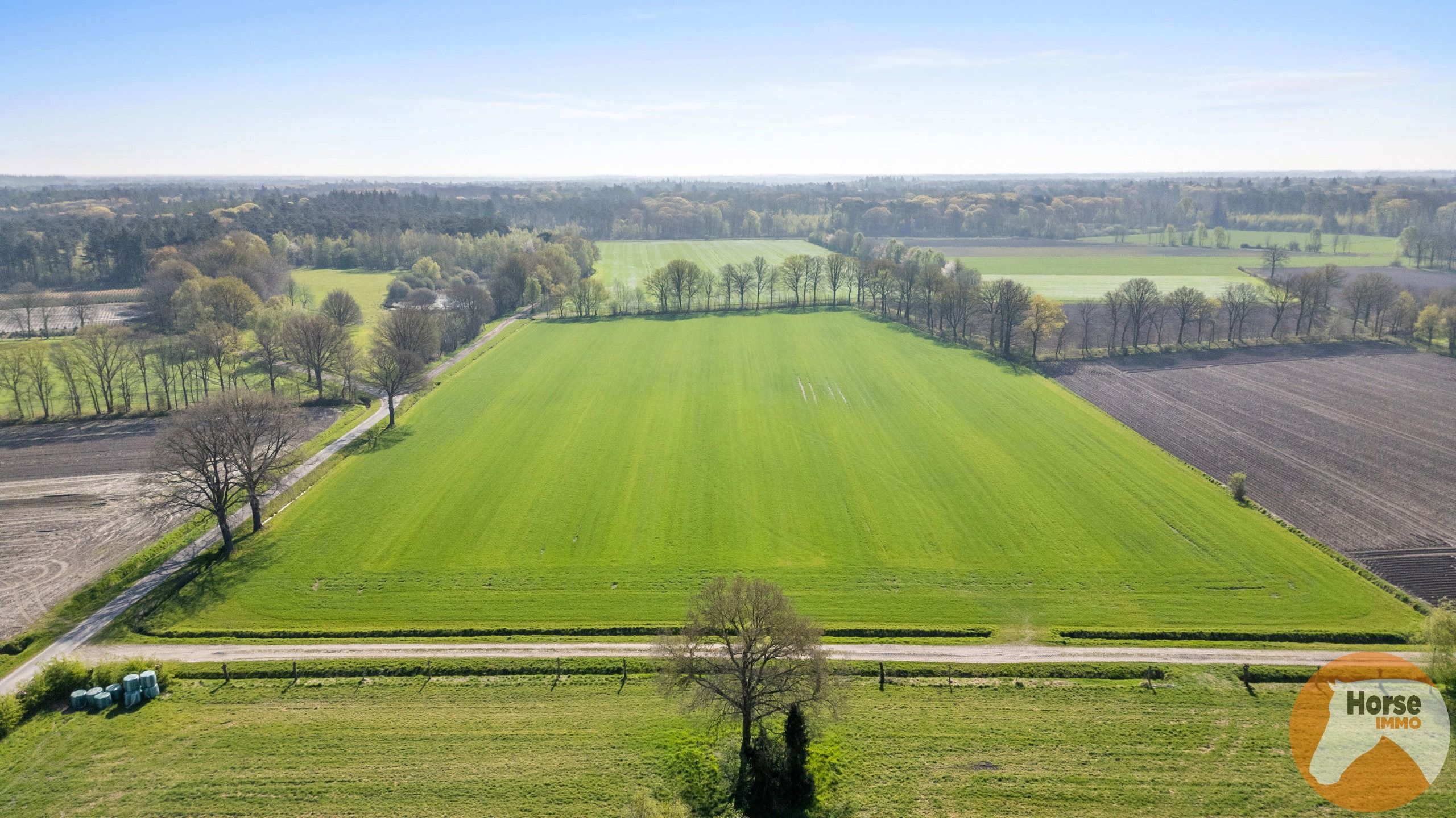 RAVELS - Instapklare woning met loods en stallen op ca.1,6Ha foto 24