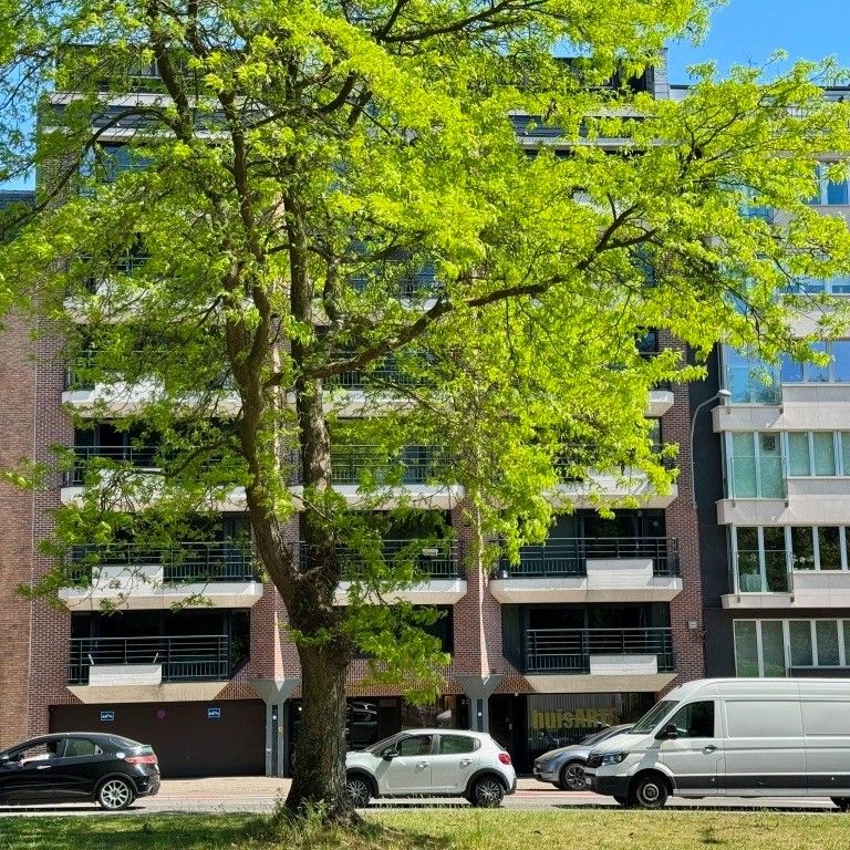 Ruime en energiezuinige studio met zicht op Citadelpark foto 12