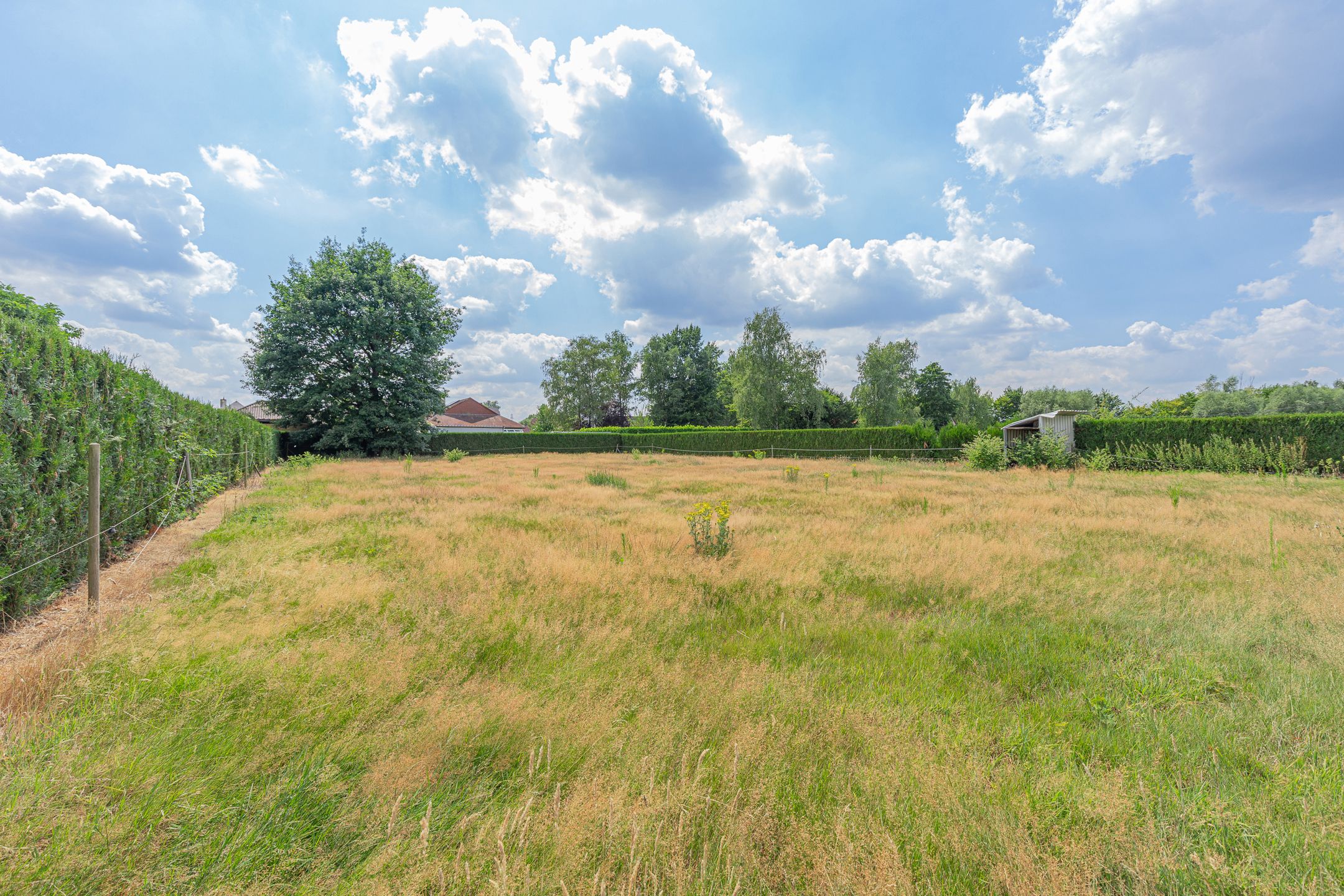 AALST – Halfopen bebouwing met villa-allure op 3114 m² foto 20