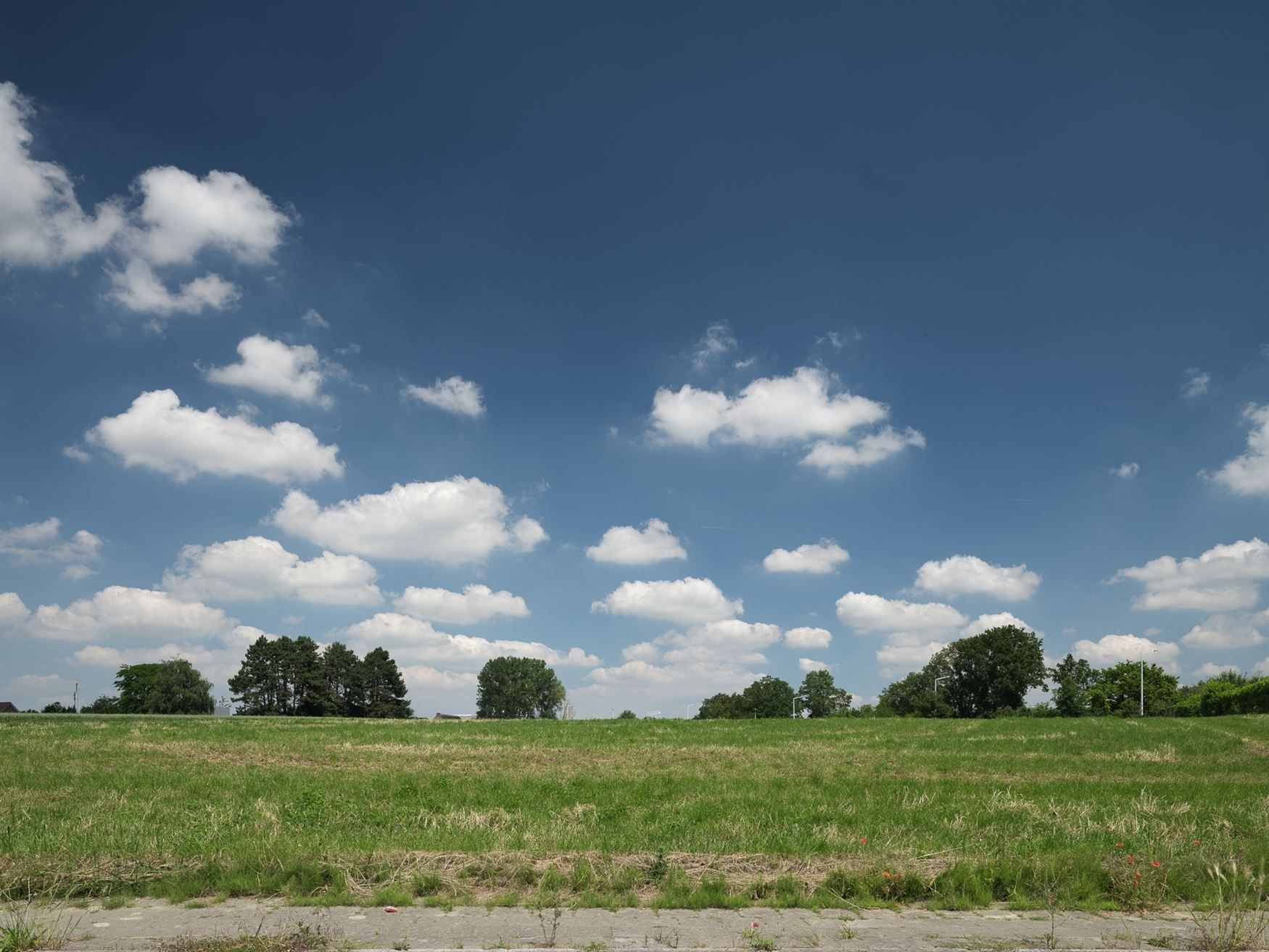 Karaktervolle gezinswoning met zonnige tuin foto 18