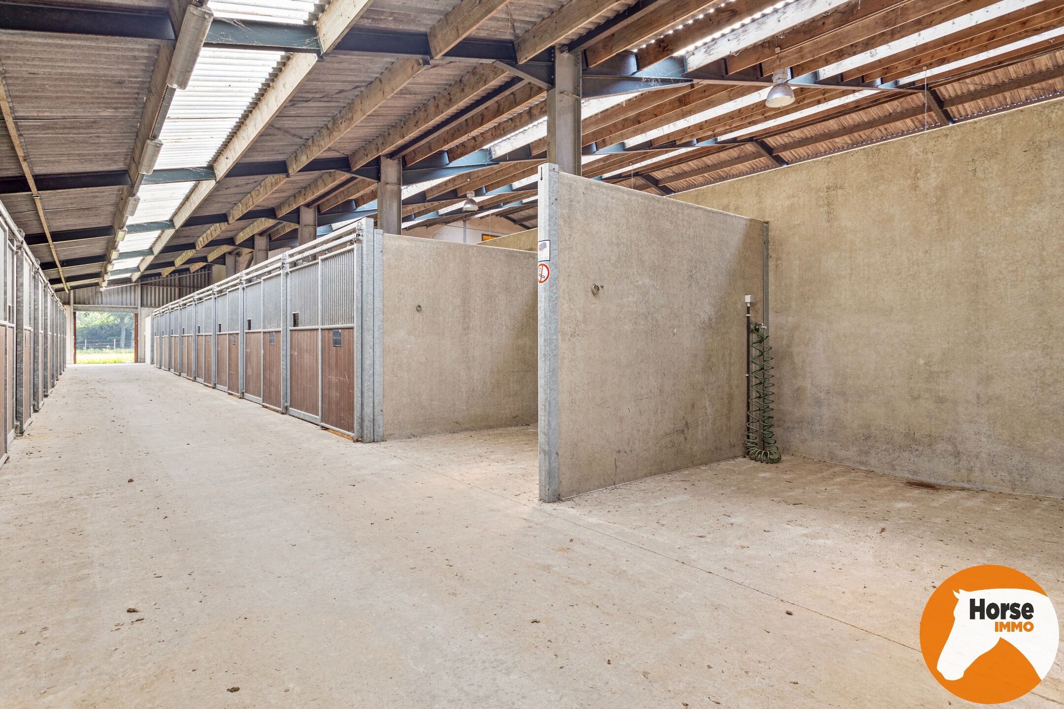 JABBEKE - Luxueuze paardenaccommodatie met woning foto 13