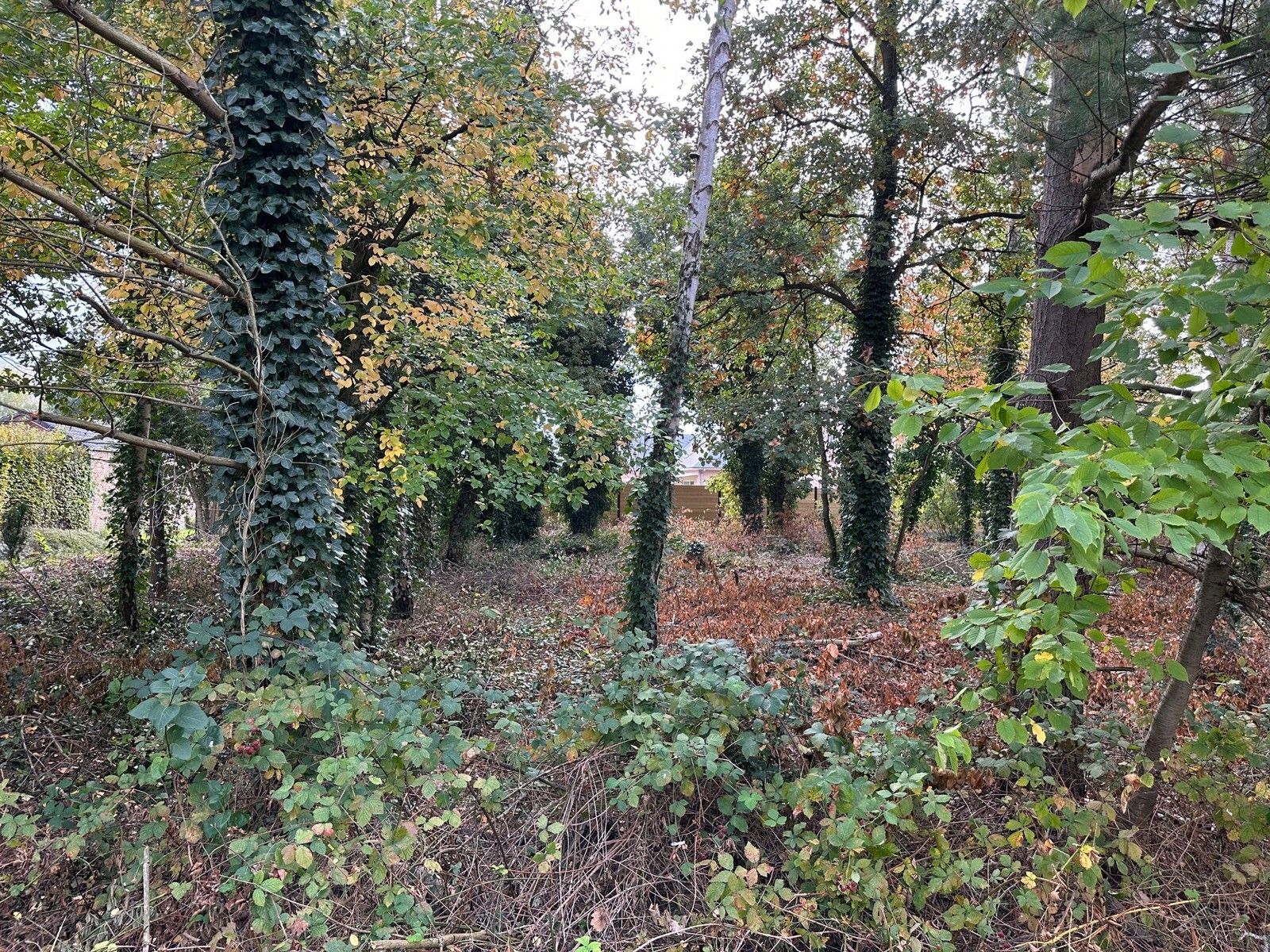 Achtergelegen bouwgrond OB 810 m2 te 3140 KEERBERGEN foto 3