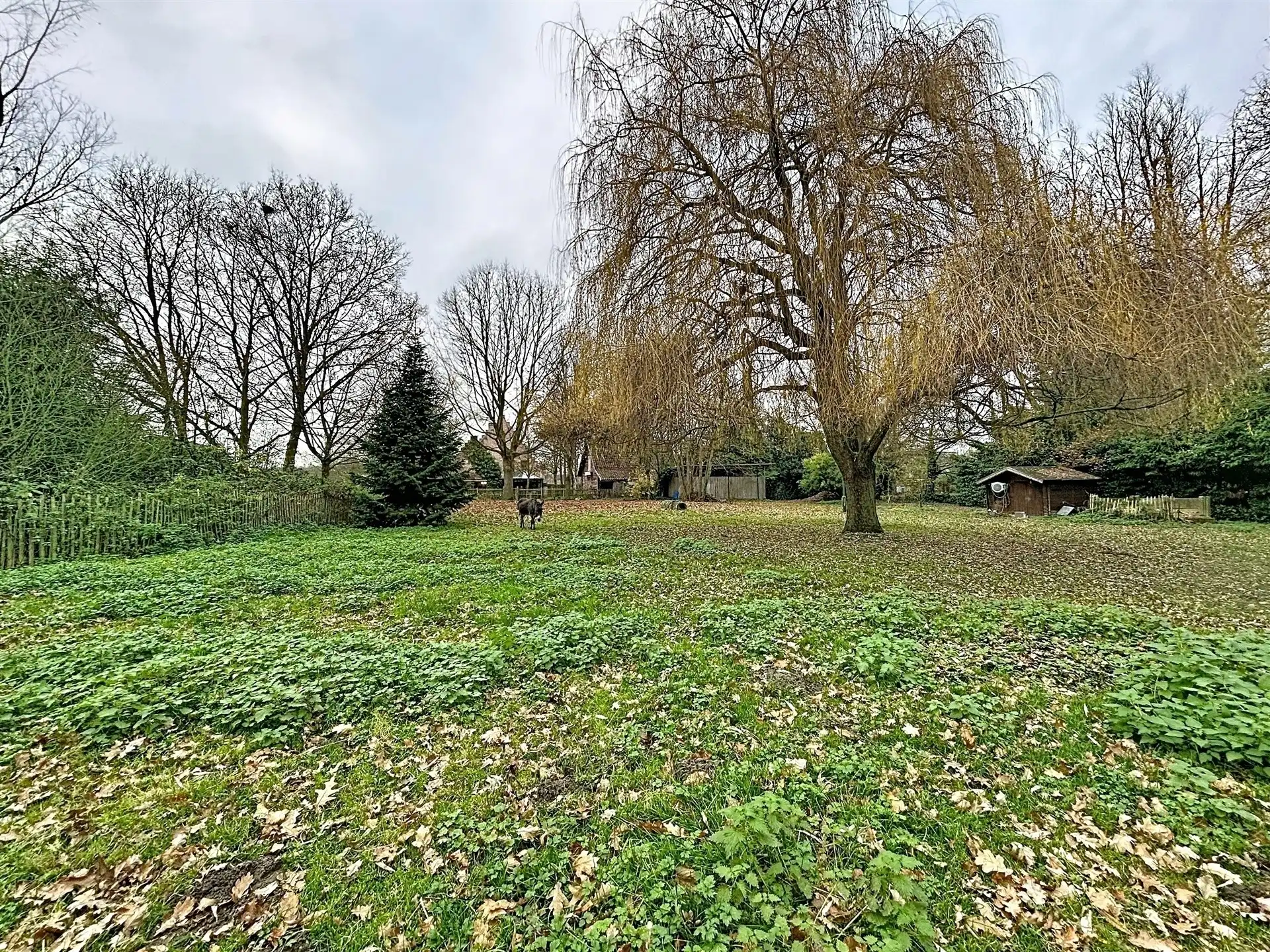 Energiezuinige statige villa met 5 slaapkamers en riant bijgebouw op perceel van 14262m² foto 9