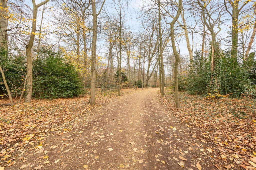 Appartement met 3 slpk en ruim terras foto 18